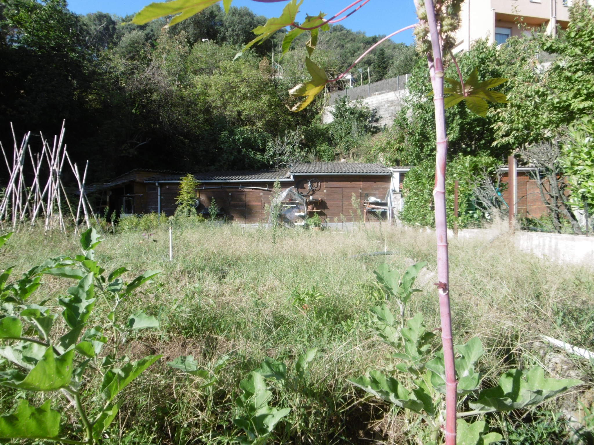 Fincas y solares-Venta-1893697