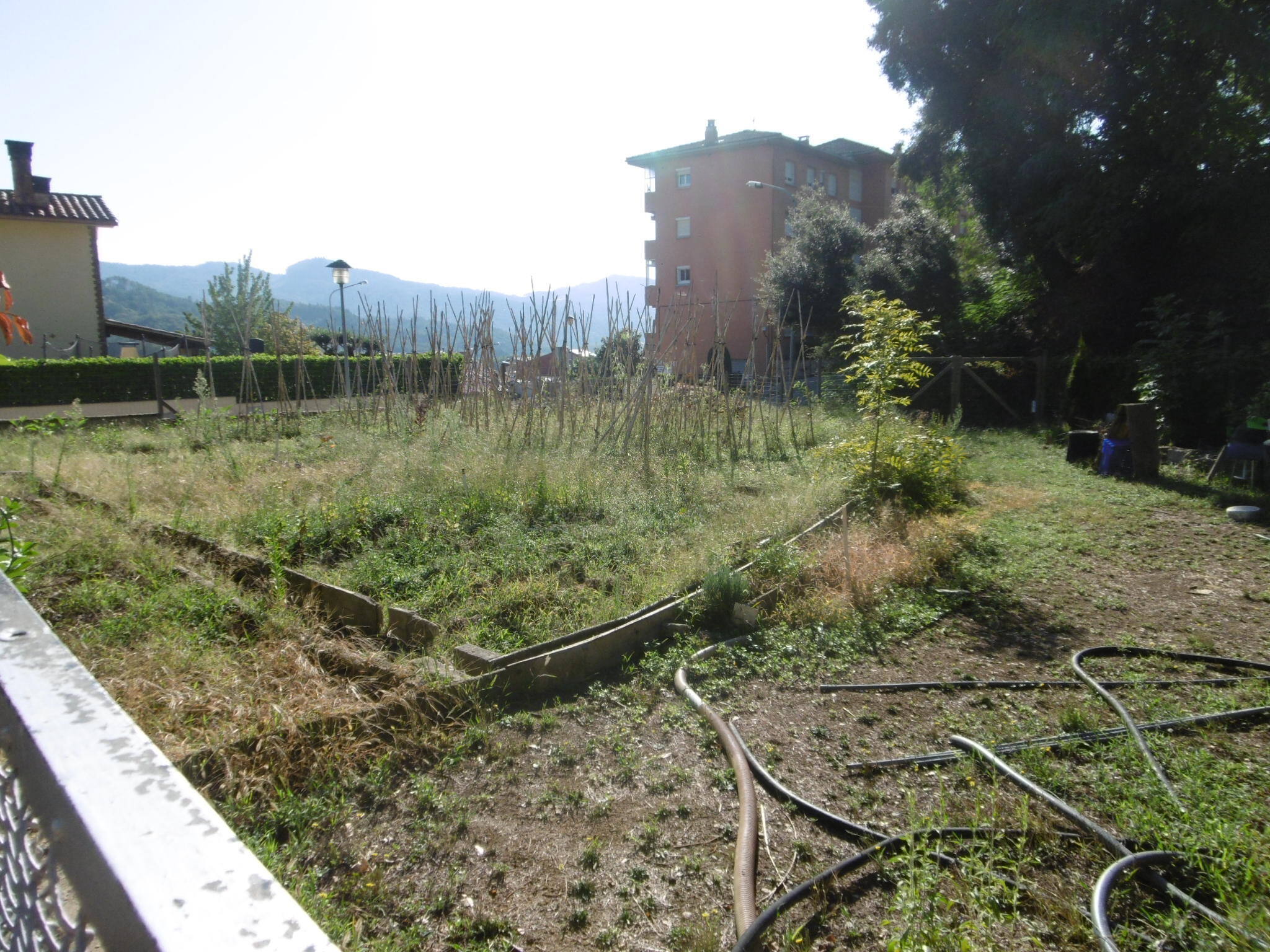 Fincas y solares-Venta-ArbÃºcies-1893697-Foto-3