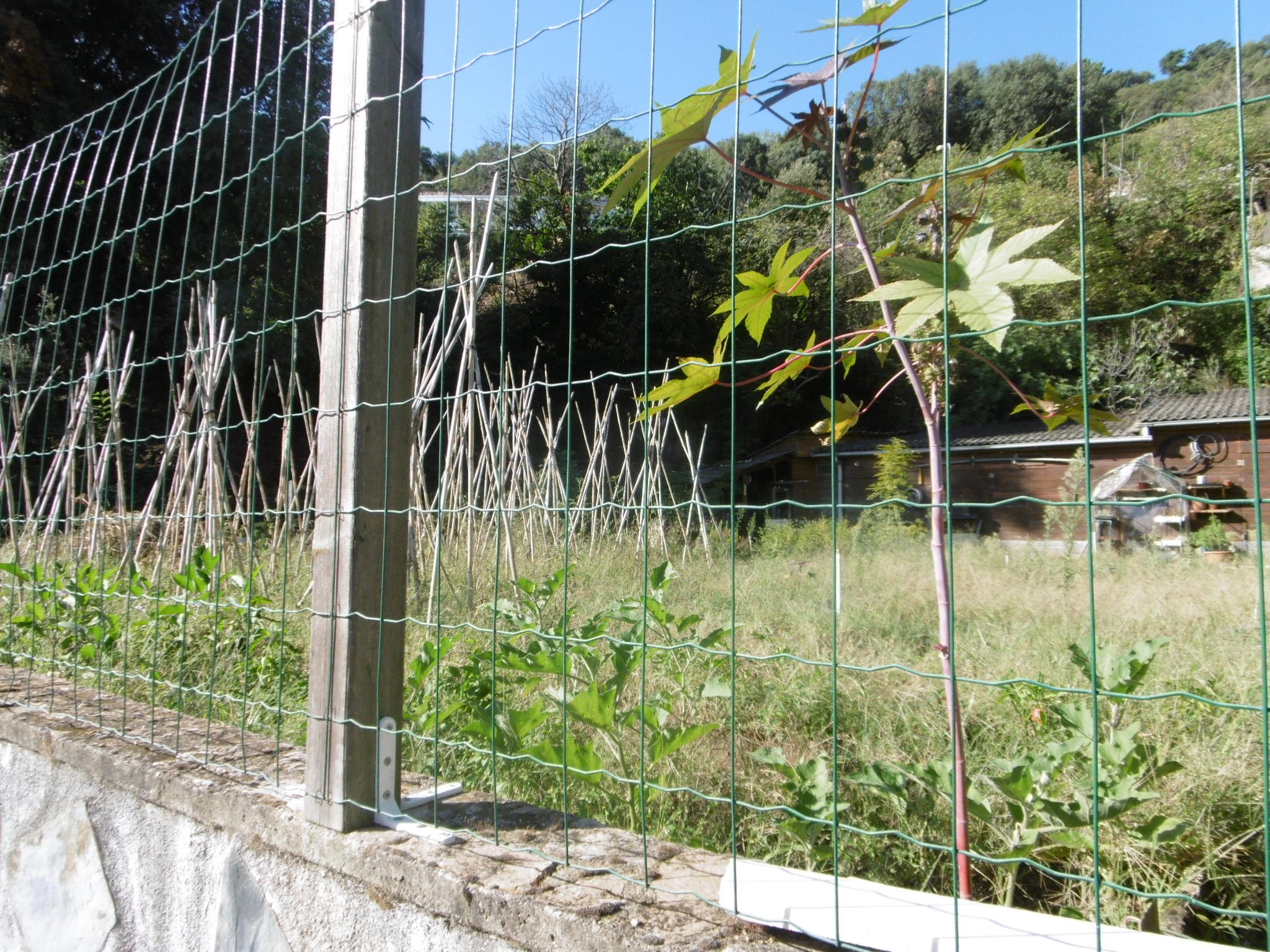 Fincas y solares-Venta-ArbÃºcies-1893697-Foto-4