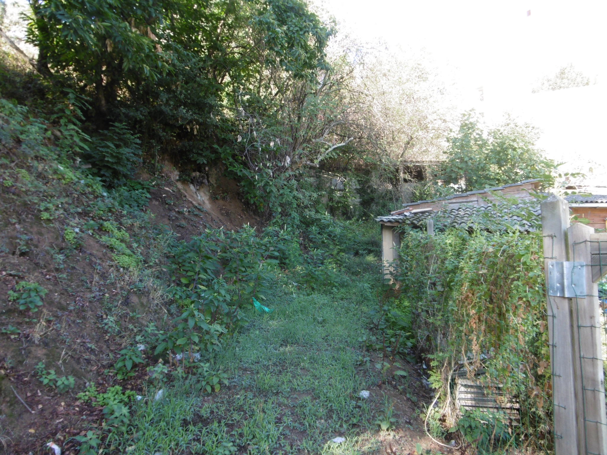 Fincas y solares-Venta-ArbÃºcies-1893697-Foto-12