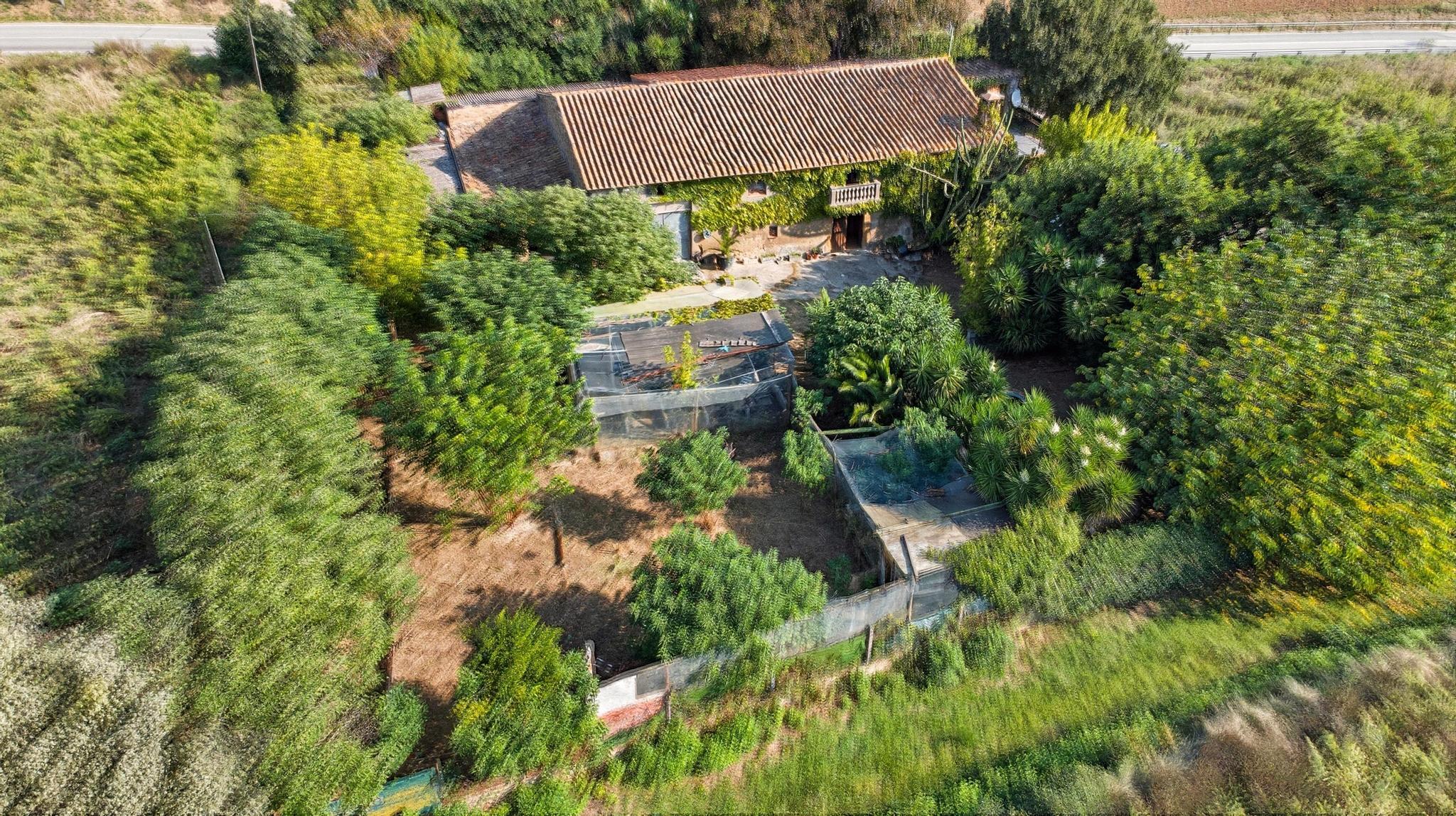 Casas o chalets-Venta-BÃ scara-1893787-Foto-3