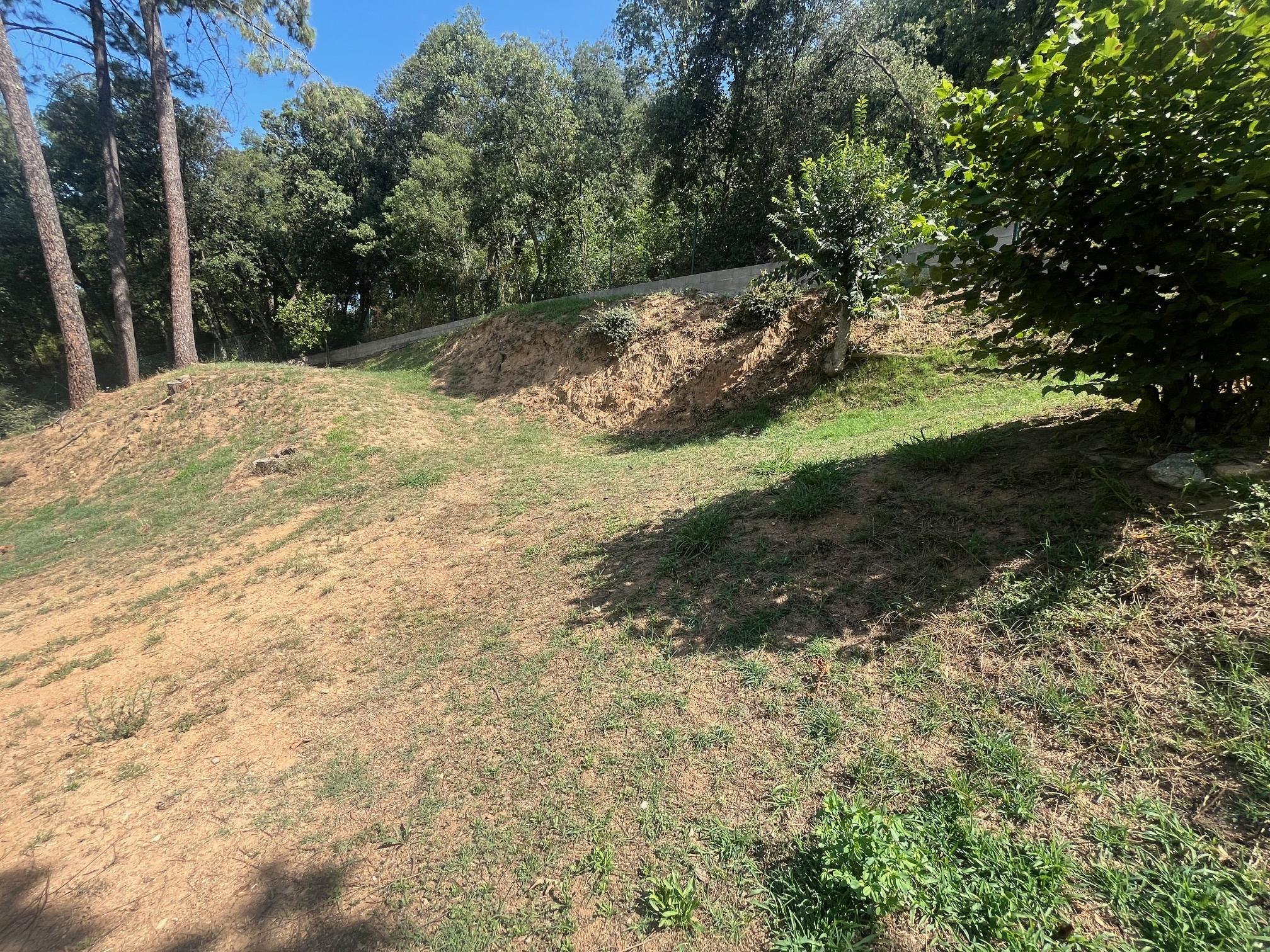 Fincas y solares-Venta-ArbÃºcies-1893757-Foto-9