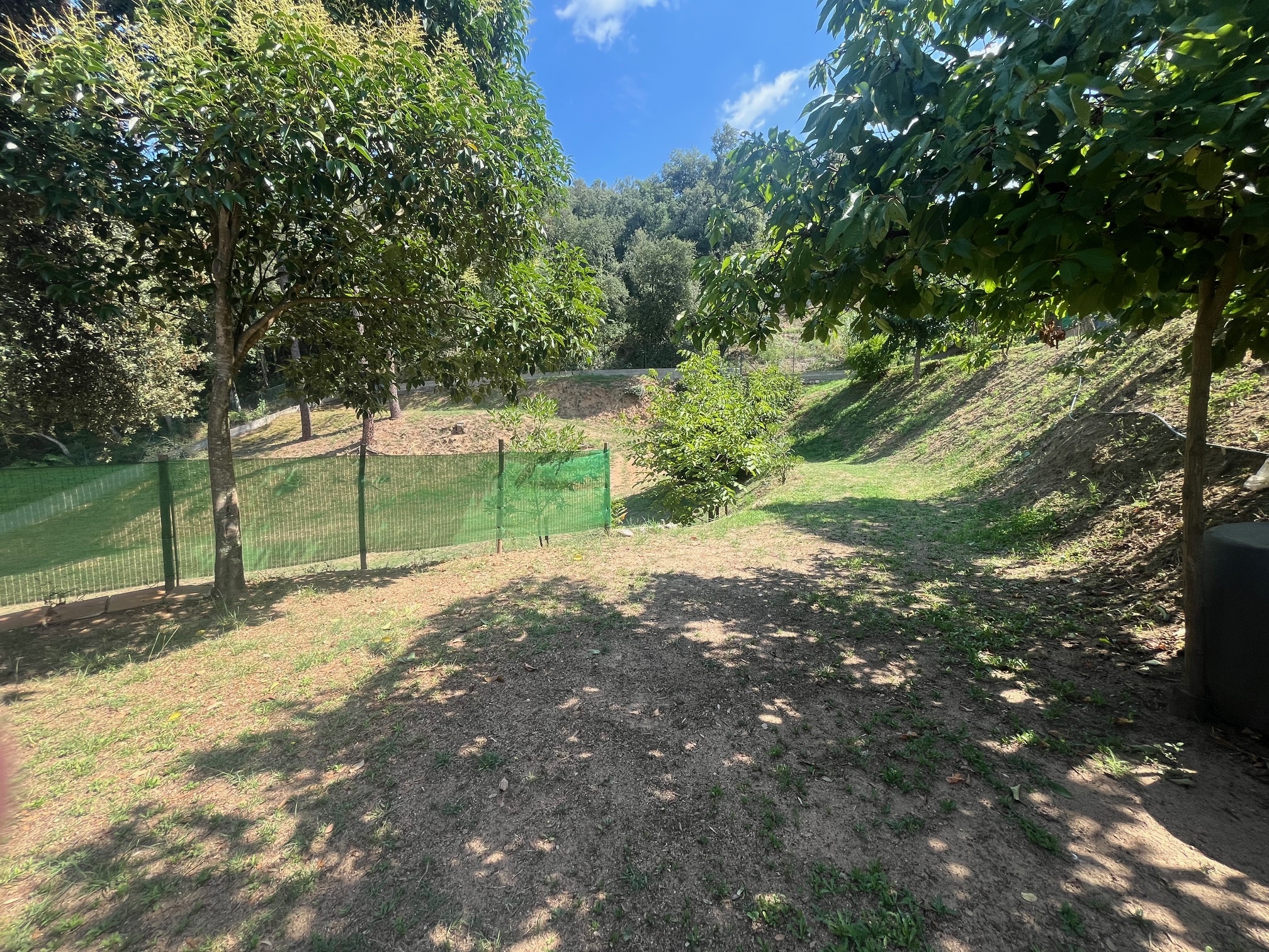 Fincas y solares-Venta-ArbÃºcies-1893757-Foto-13