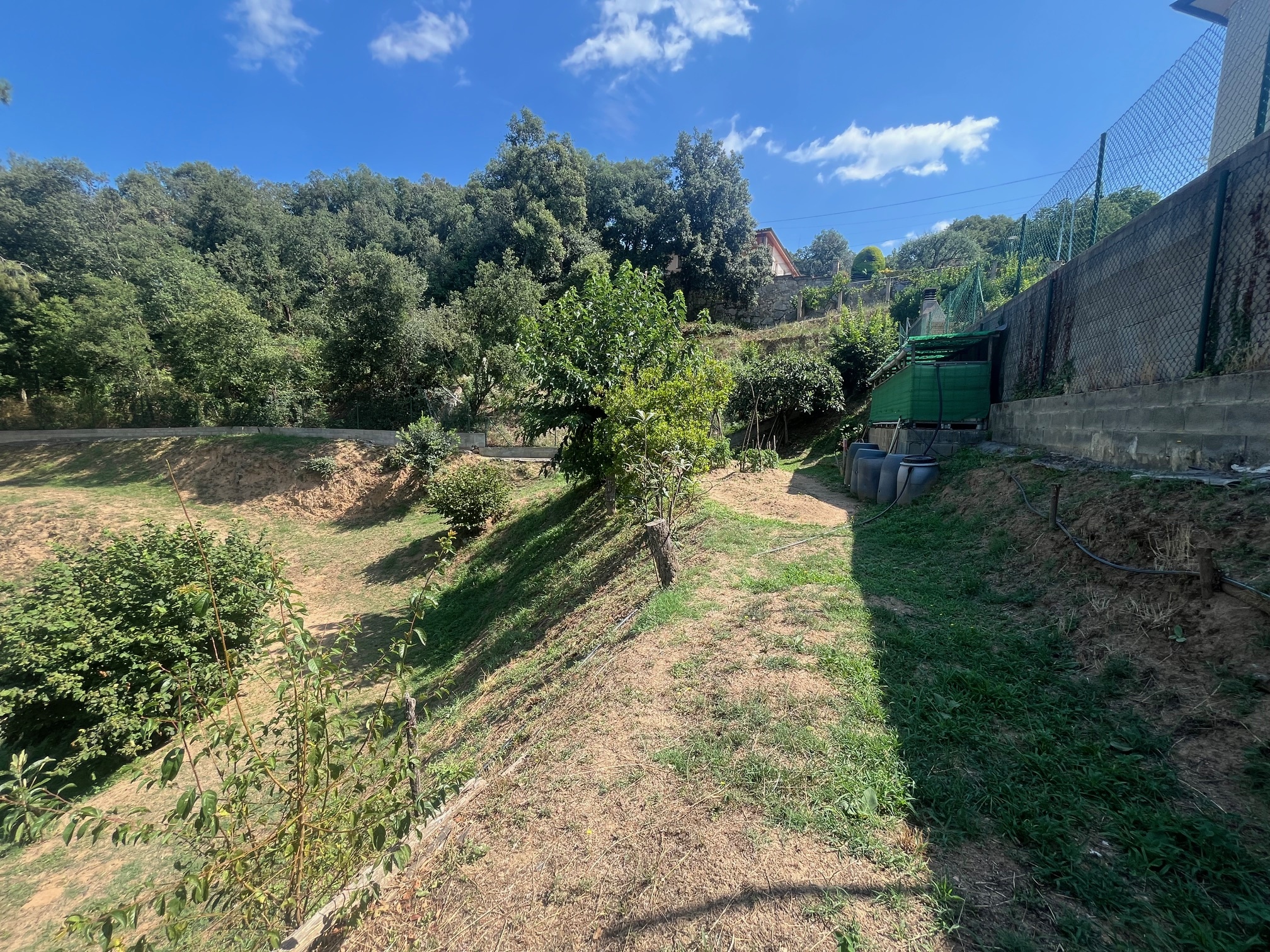 Fincas y solares-Venta-ArbÃºcies-1893757-Foto-14