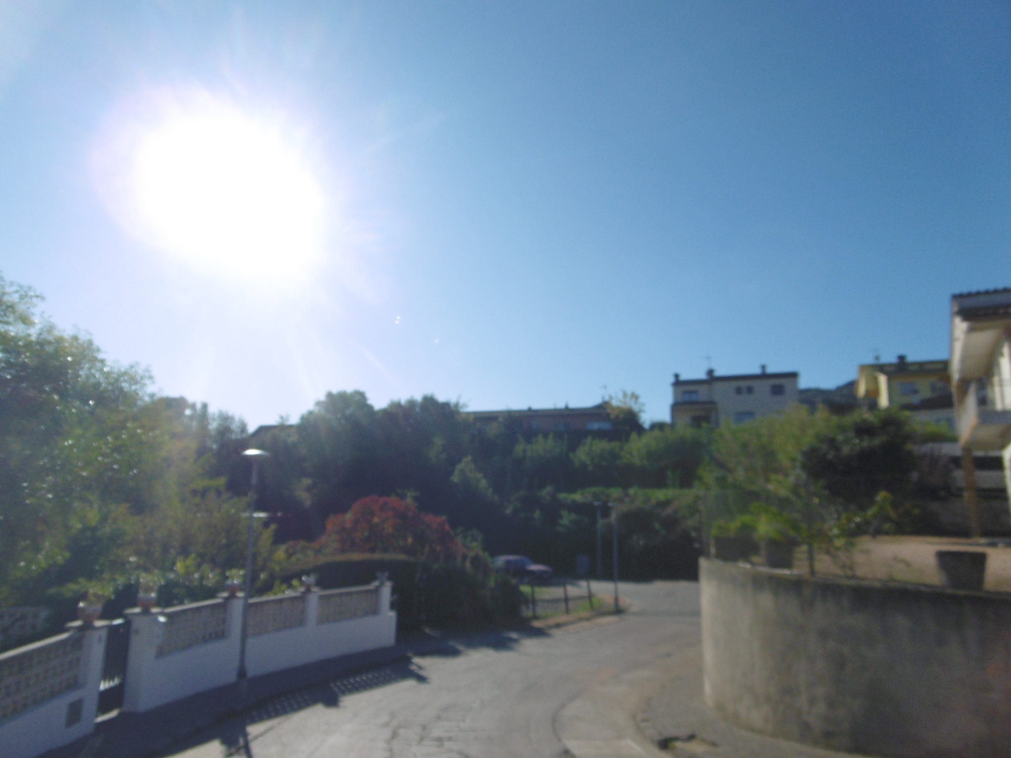 Fincas y solares-Venta-ArbÃºcies-1893742-Foto-7
