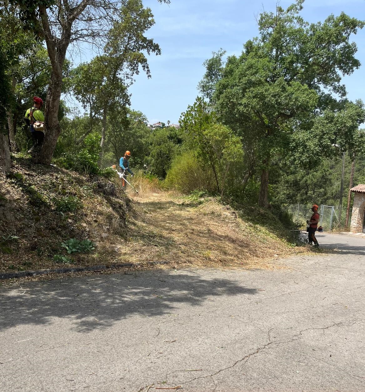 Fincas y solares-Venta-1893808
