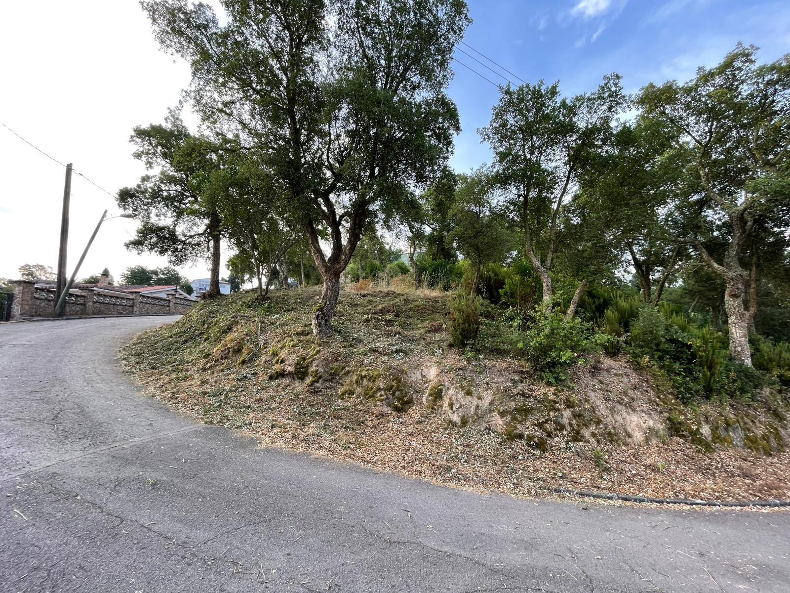 Fincas y solares-Venta-Lloret de Mar-1893808-Foto-3