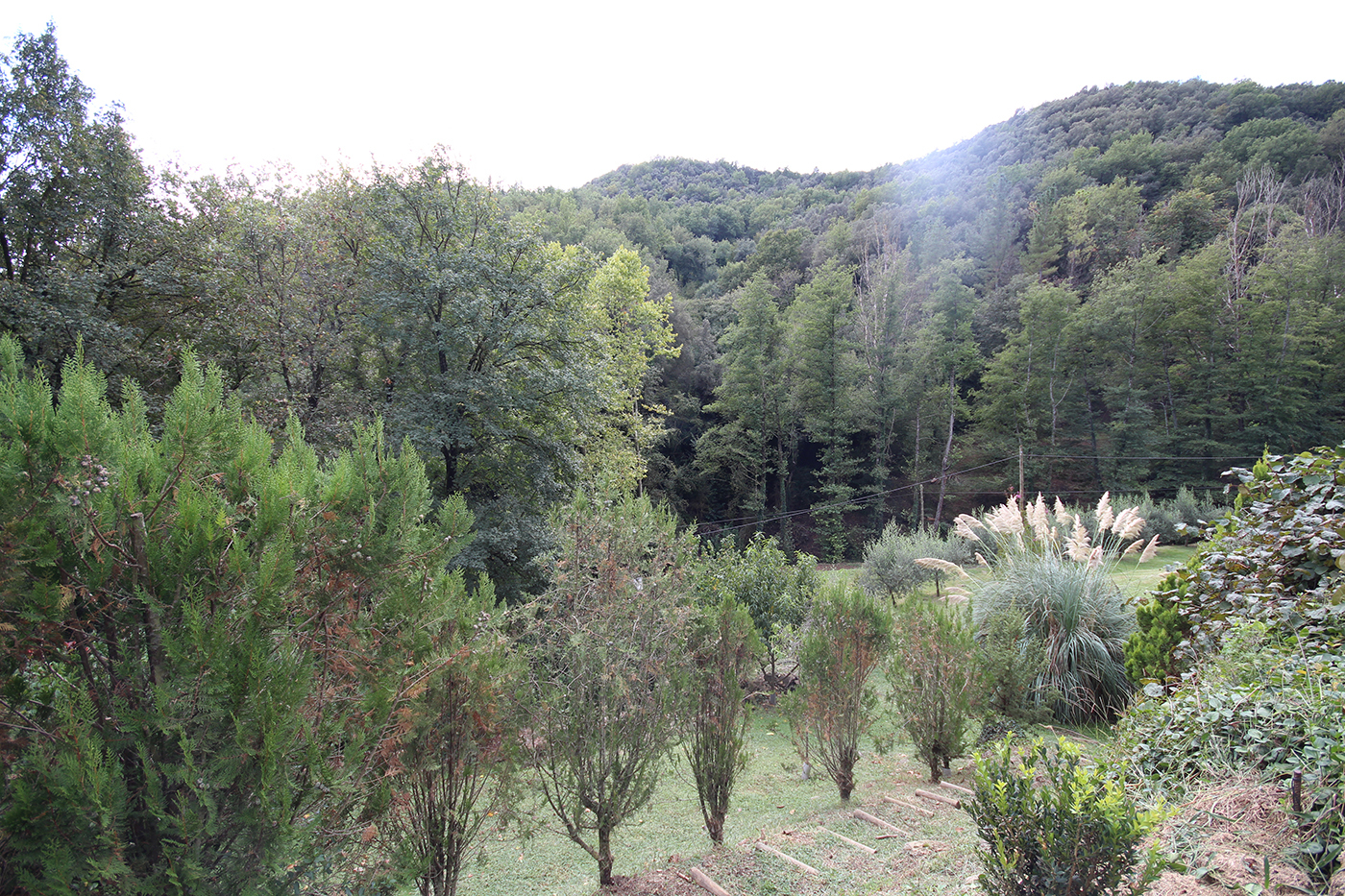 Casas o chalets-Venta-Sant Aniol de Finestres-1893691-Foto-32