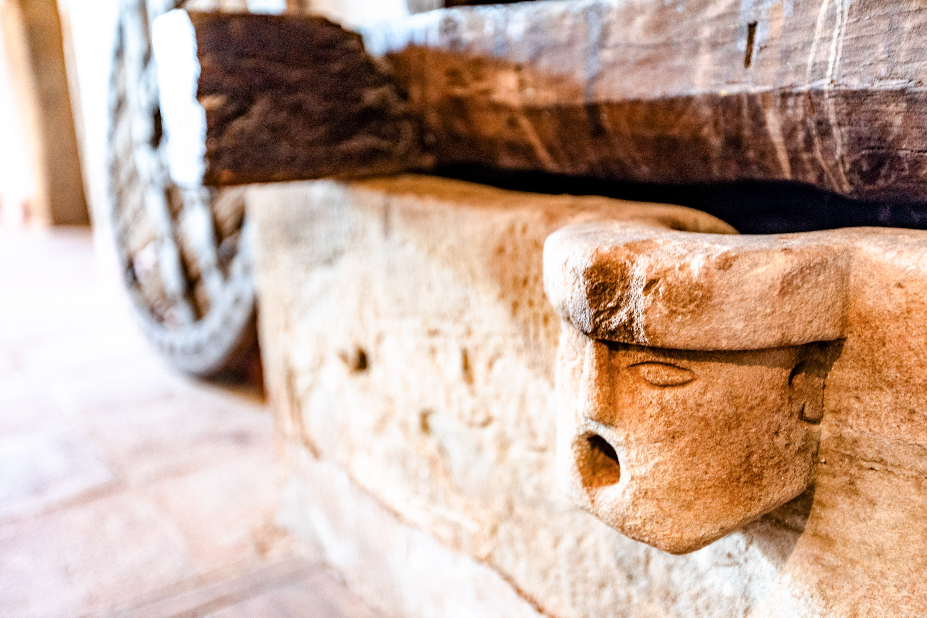 Pisos-Venta-Bigues i Riells-1893715-Foto-18