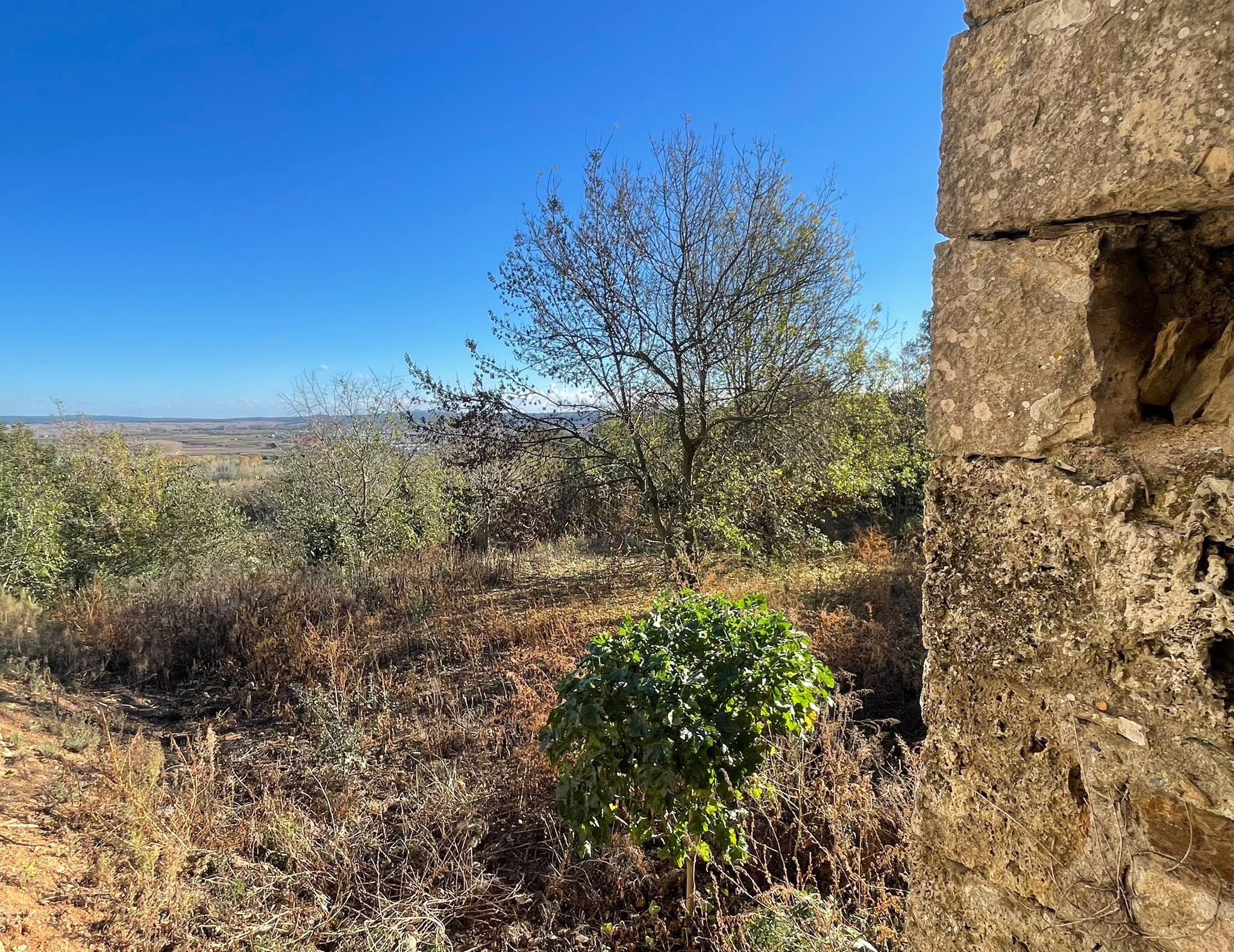 Casas o chalets-Venta-Sant JuliÃ  de Ramis-1893751-Foto-16