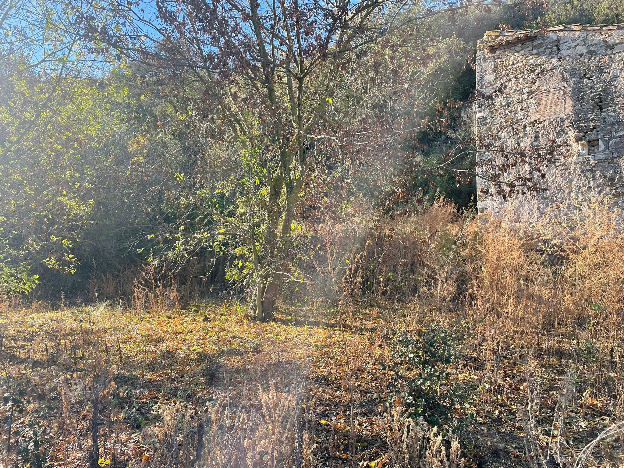 Casas o chalets-Venta-Sant JuliÃ  de Ramis-1893751-Foto-20