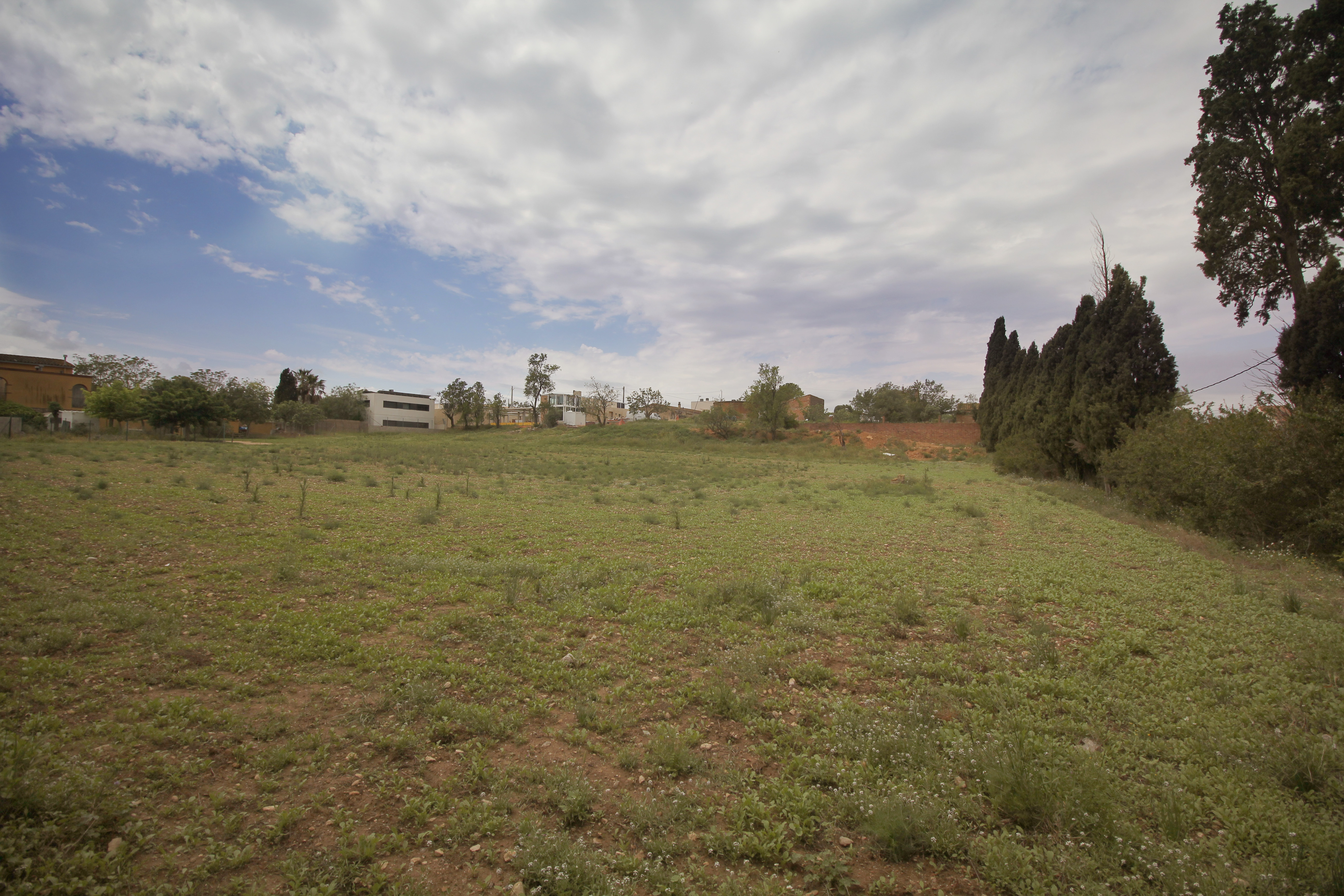 Fincas y solares-Venta-Albons-1893763-Foto-2