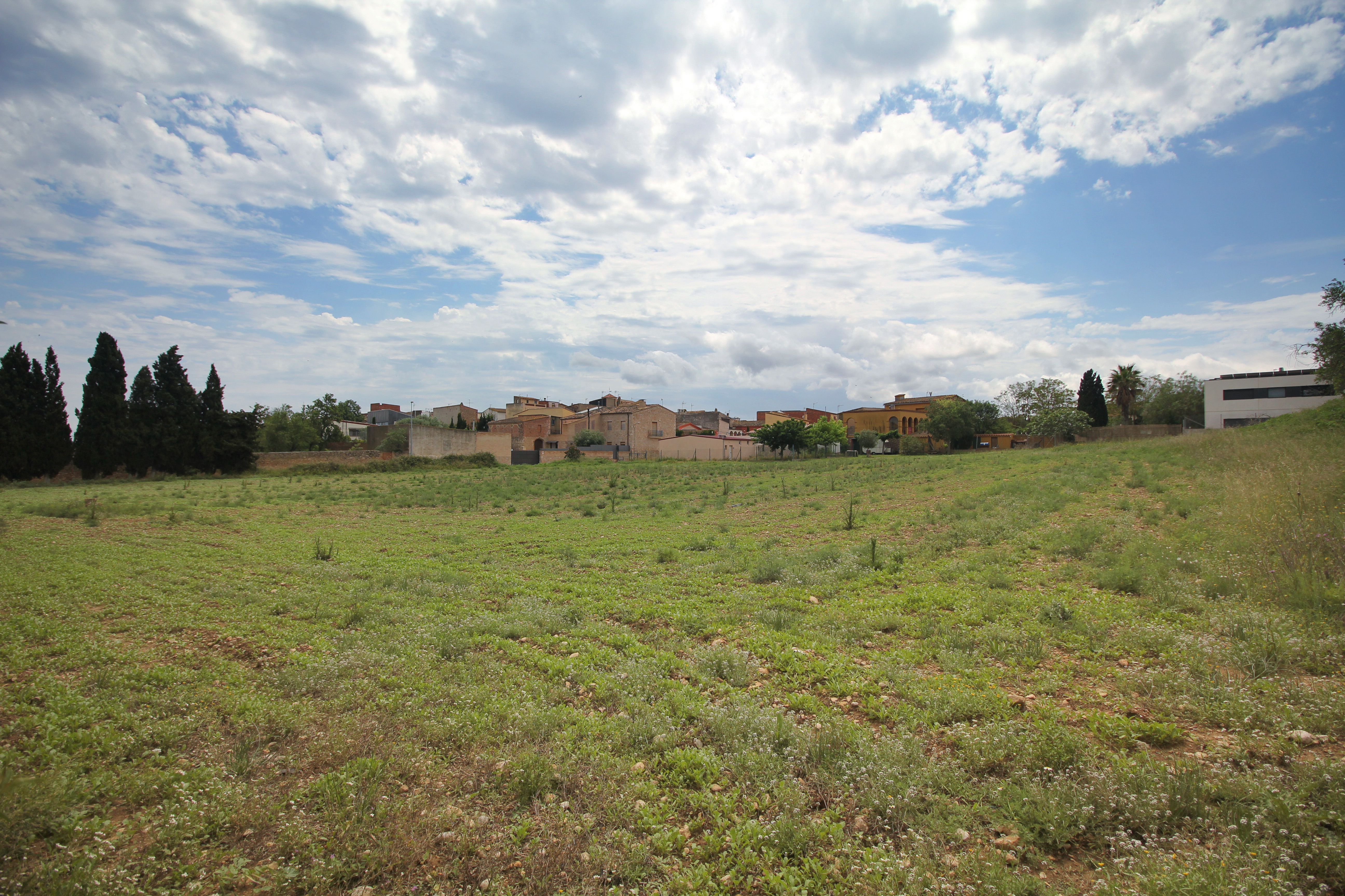 Fincas y solares-Venta-Albons-1893763-Foto-4