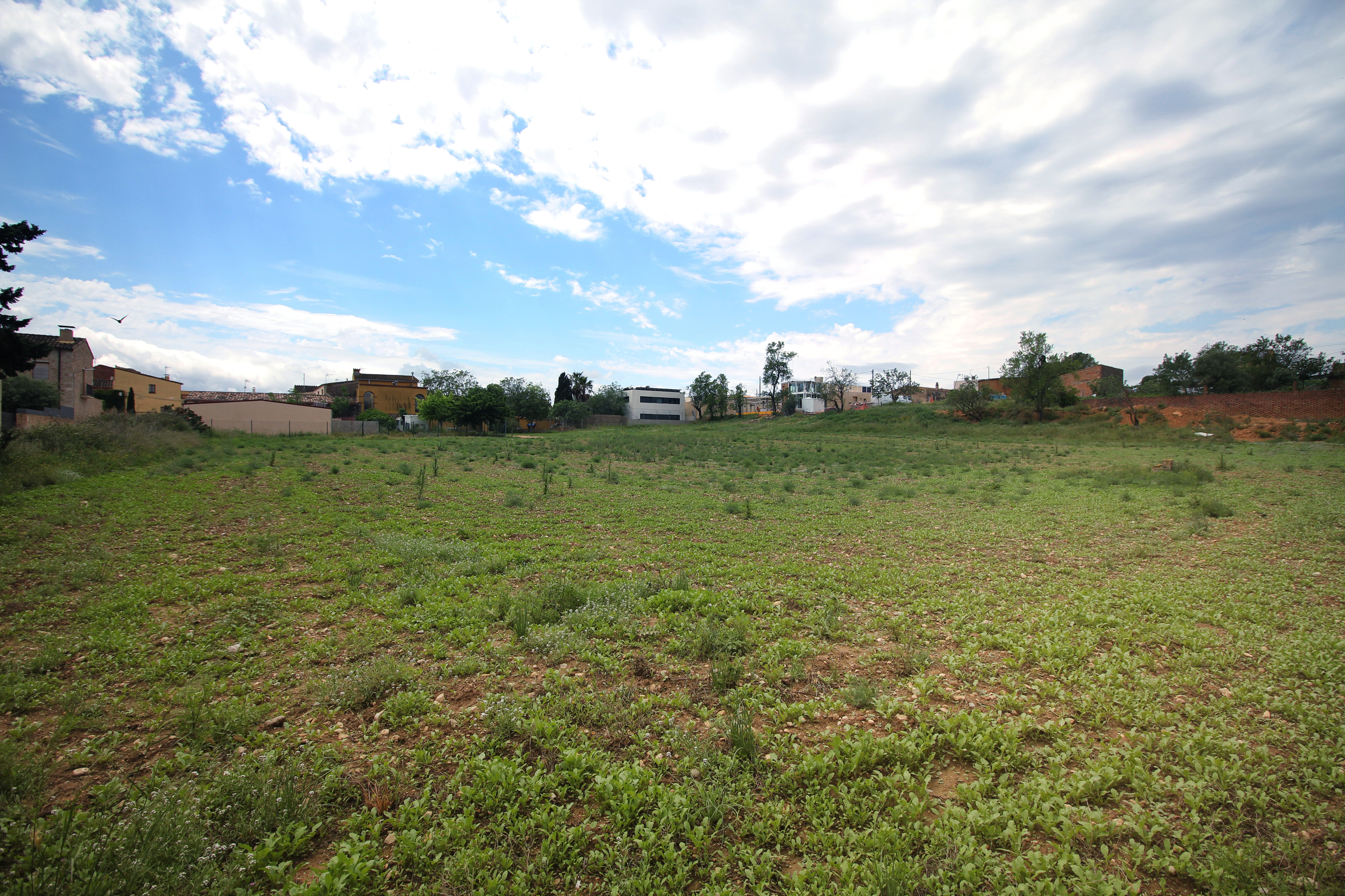 Fincas y solares-Venta-Albons-1893763-Foto-3