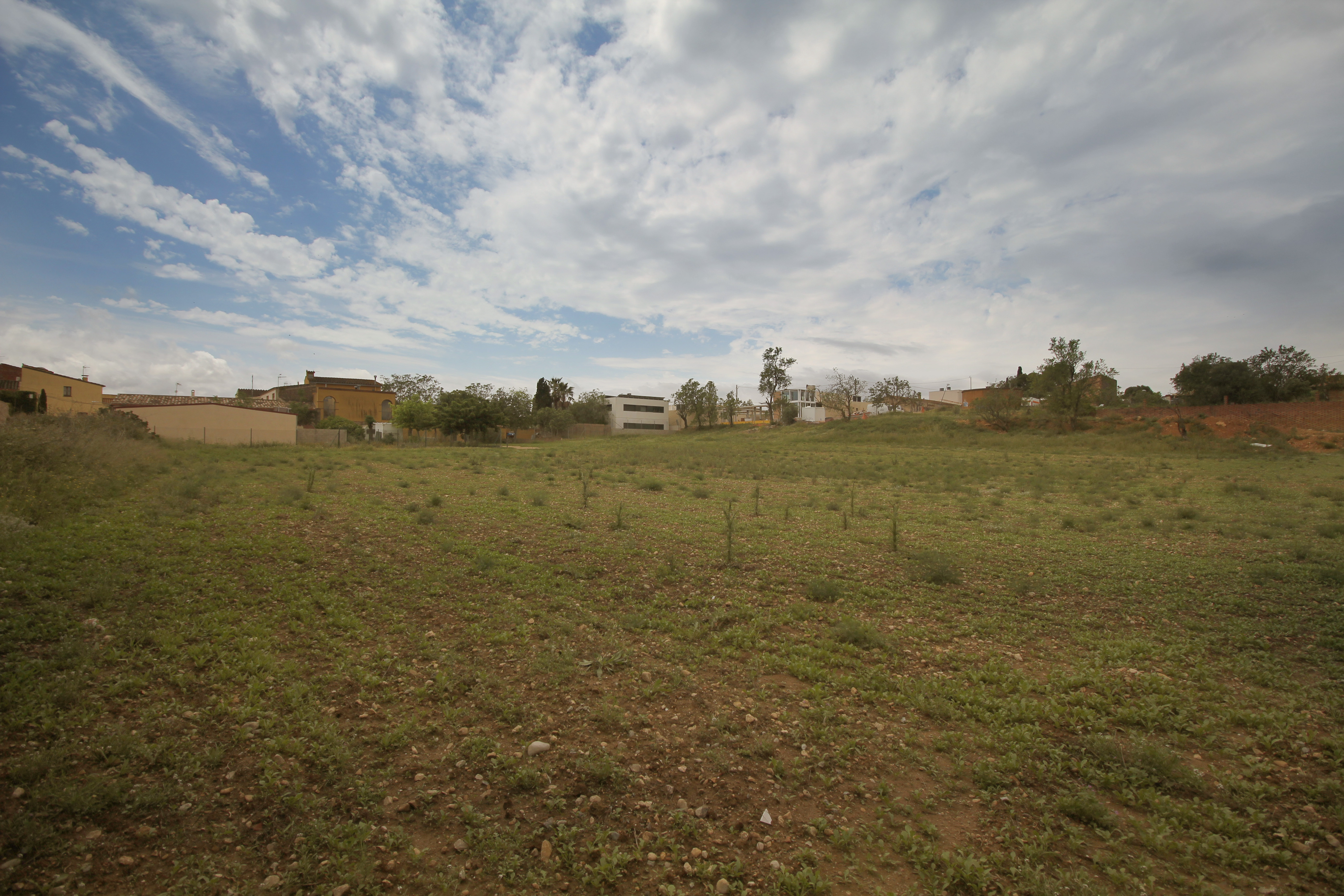 Fincas y solares-Venta-Albons-1893763-Foto-14