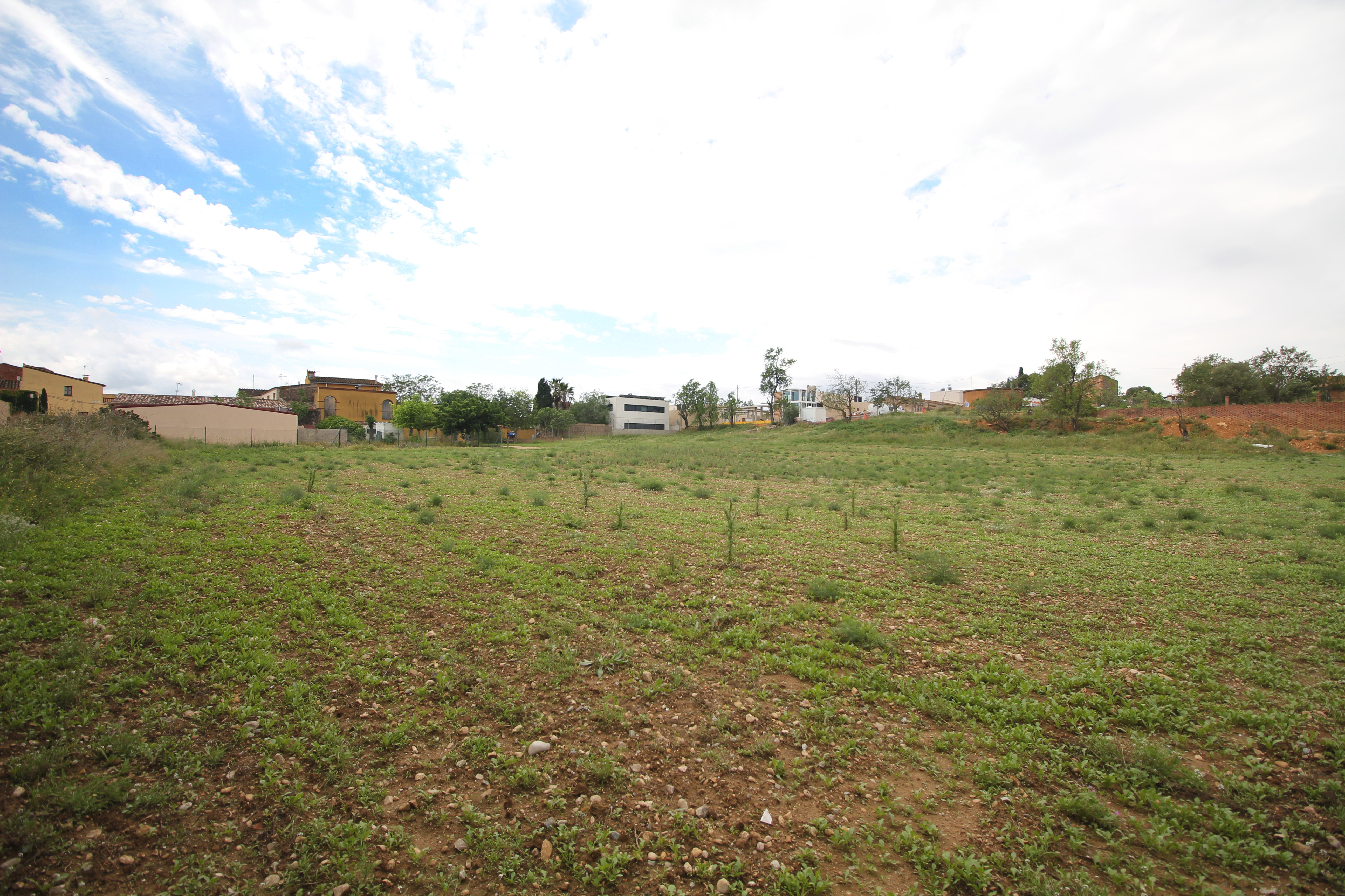 Fincas y solares-Venta-Albons-1893763-Foto-15