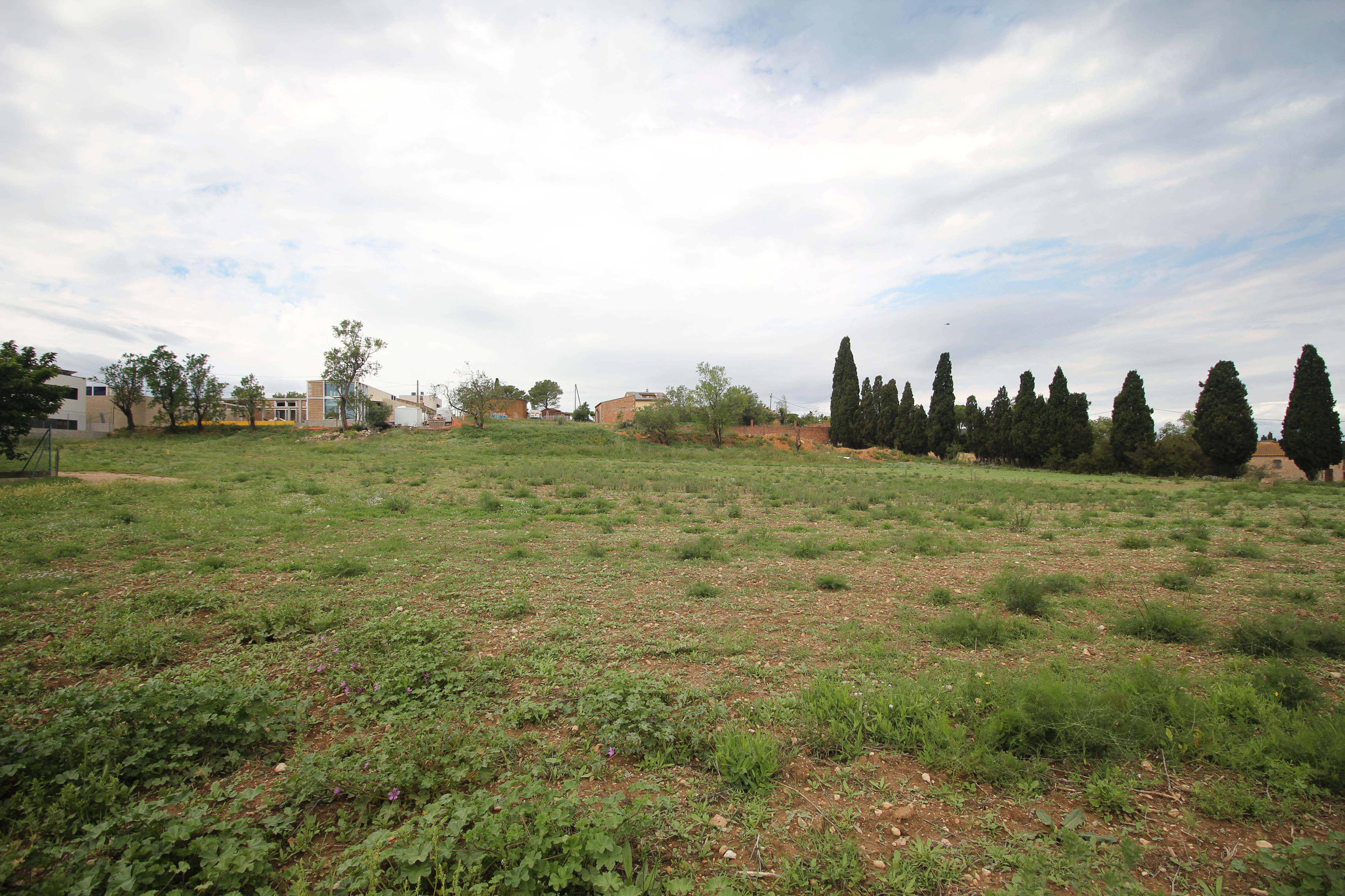 Fincas y solares-Venta-Albons-1893763-Foto-13