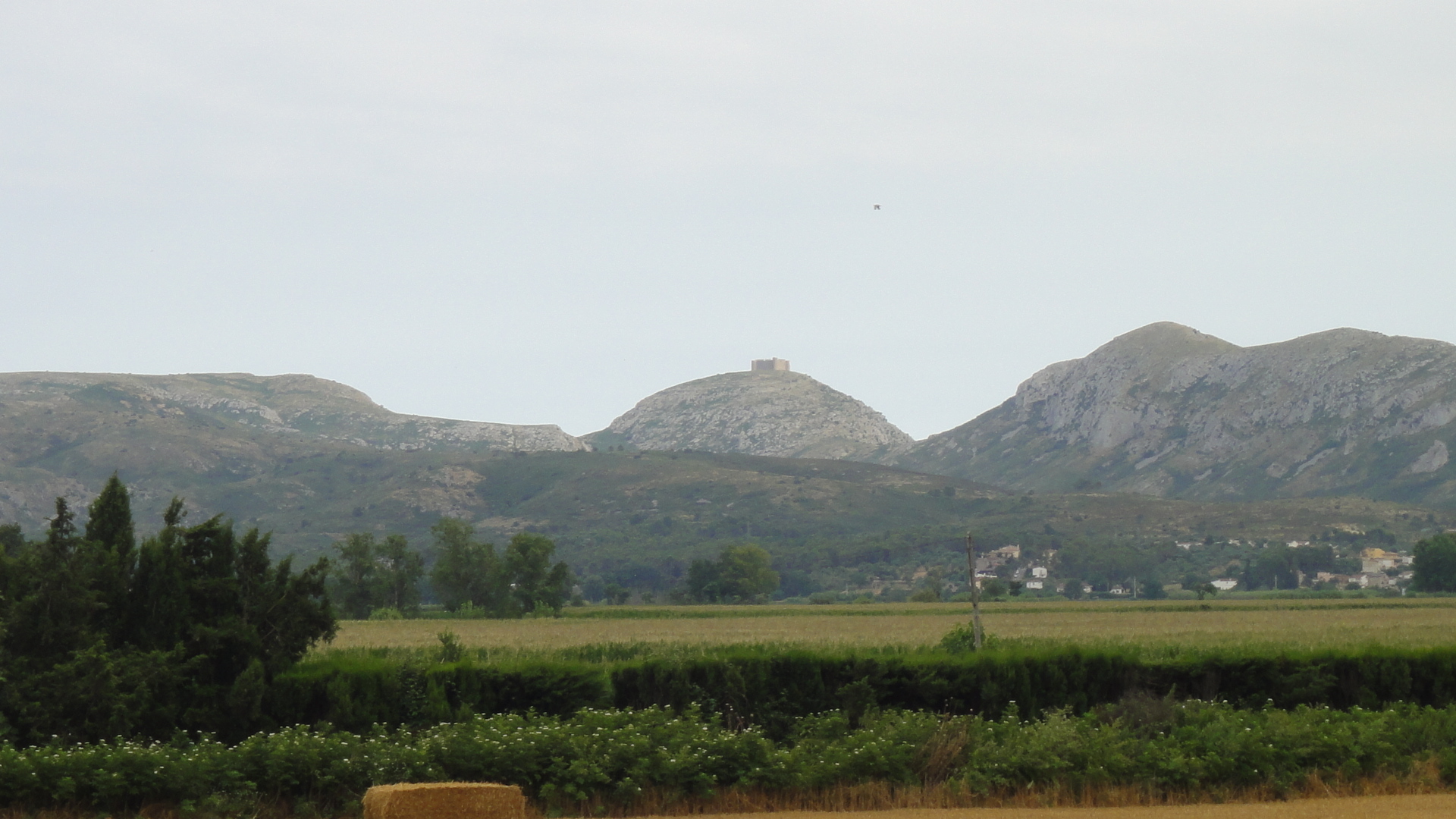Fincas y solares-Venta-Albons-1893763-Foto-18