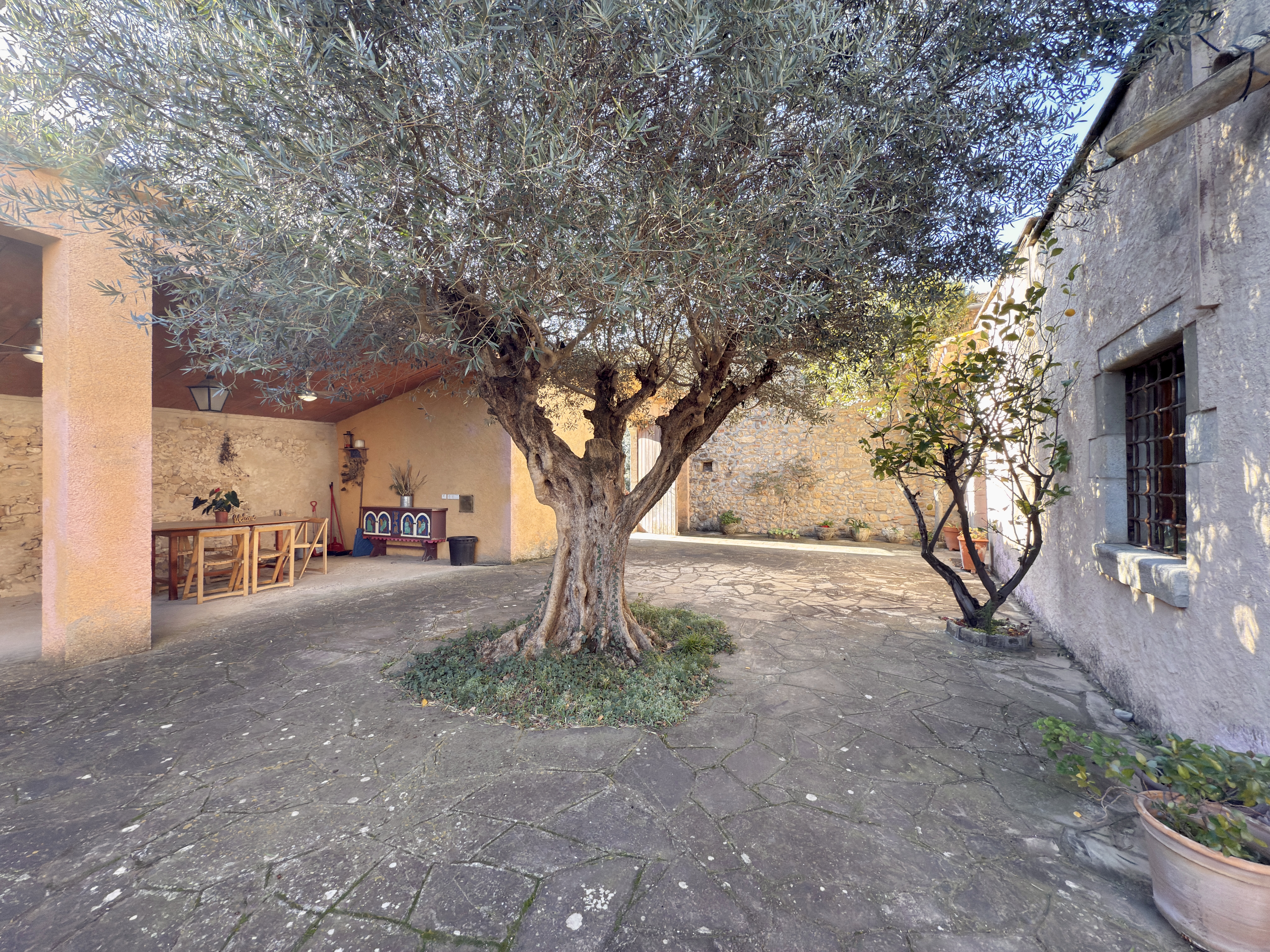 Casas o chalets-Venta-Saus-1893706-Foto-35