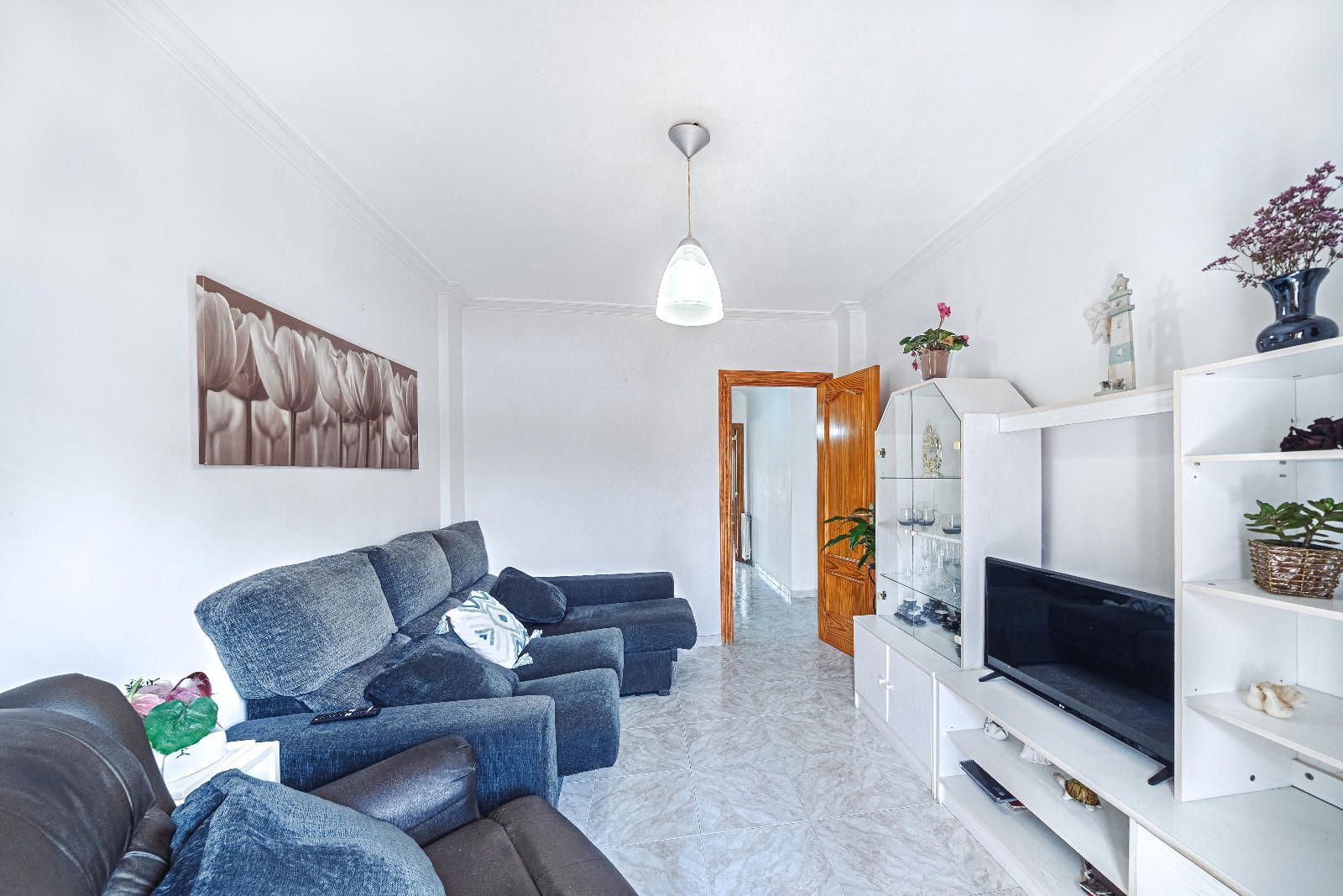 Casas o chalets-Venta-AlcÃºdia-1656407-Foto-3