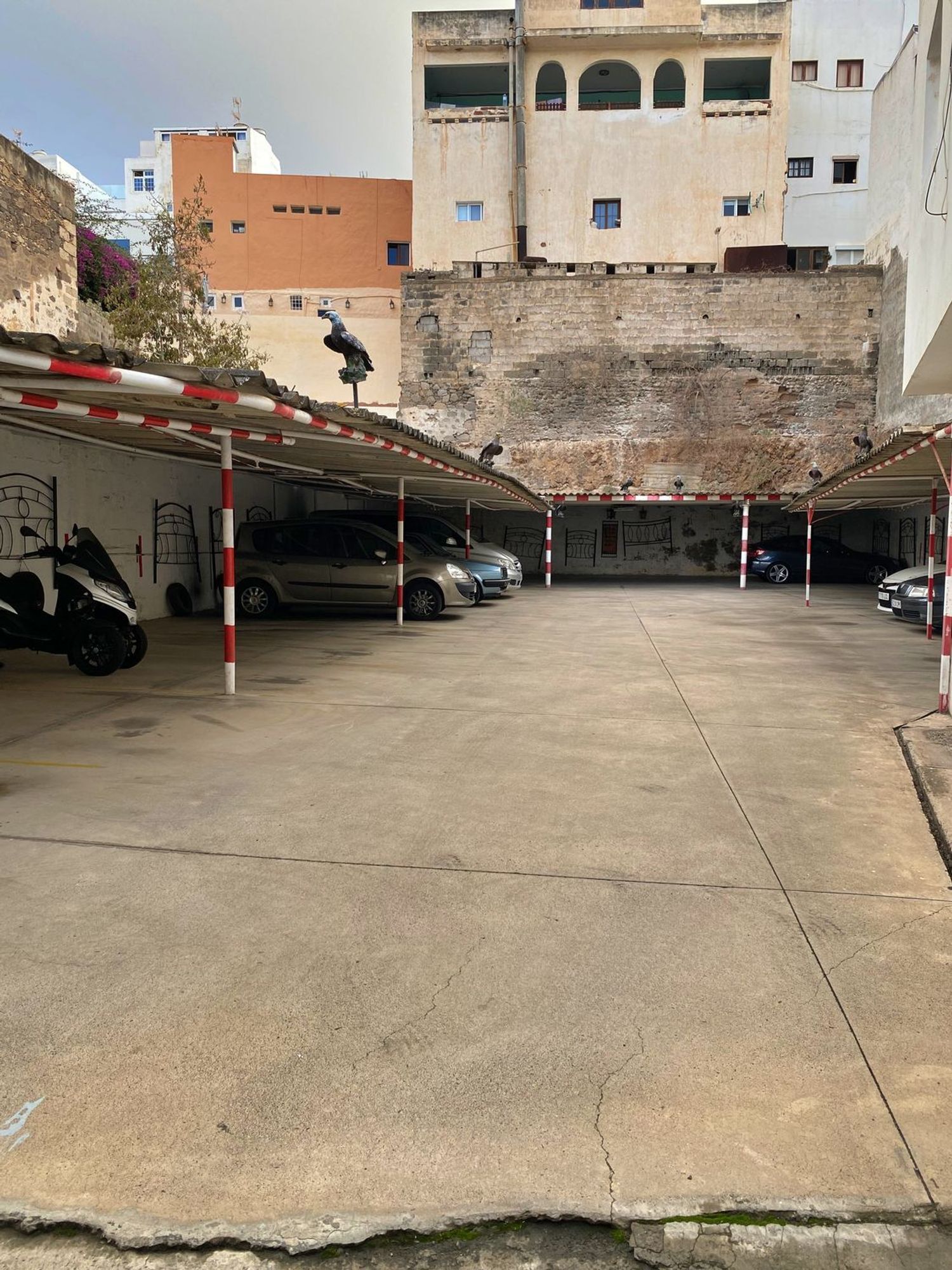 Fincas y solares-Venta-Arucas-1476080-Foto-6