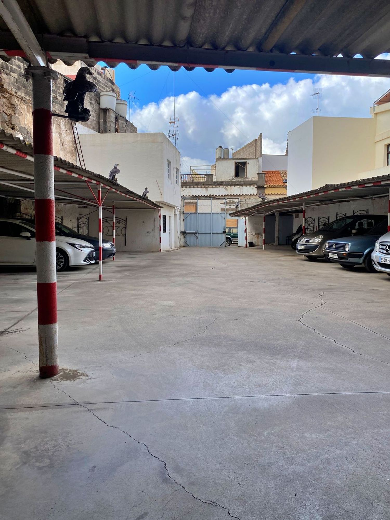 Fincas y solares-Venta-Arucas-1476080-Foto-14