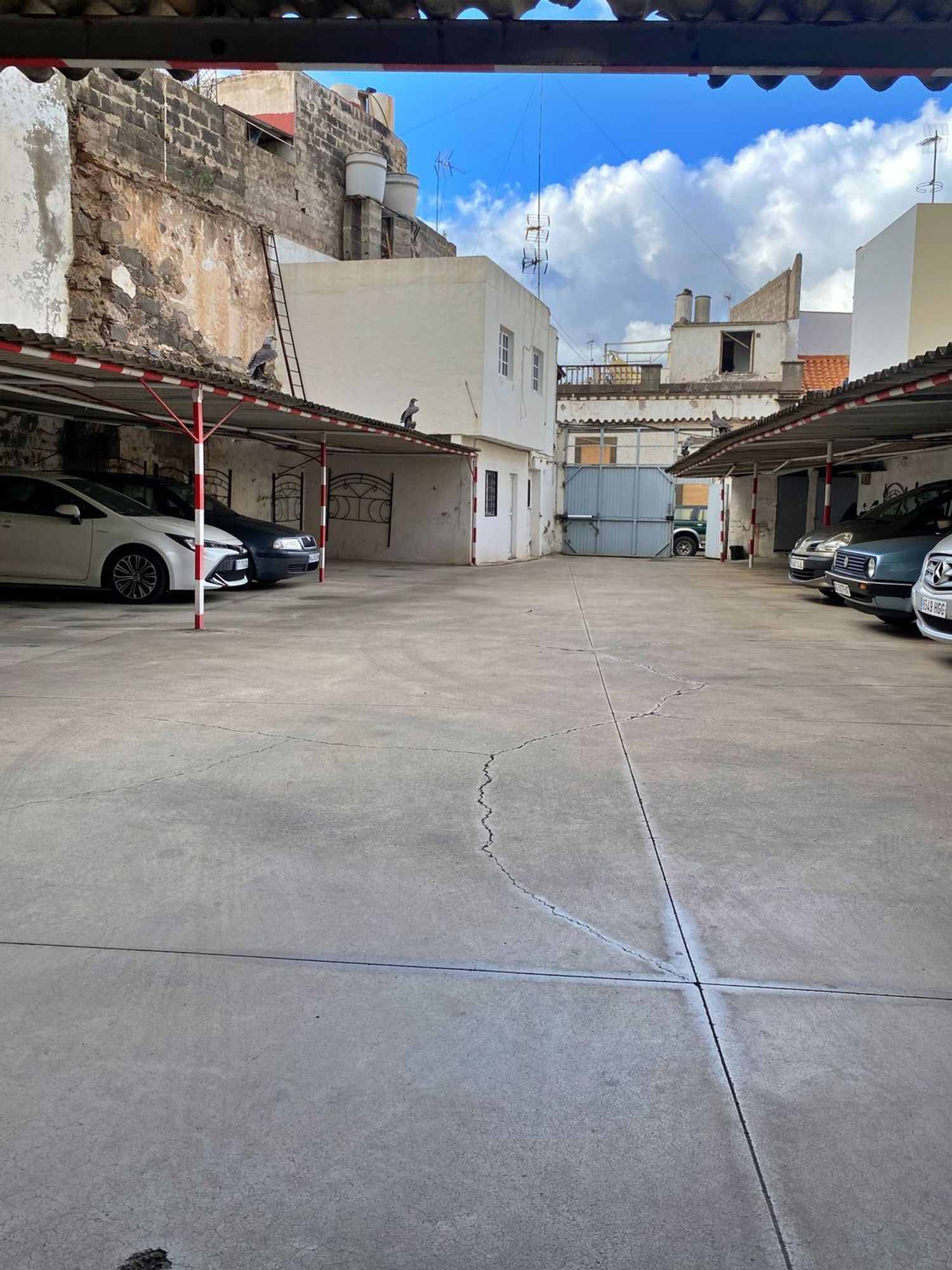 Fincas y solares-Venta-Arucas-1476080-Foto-13