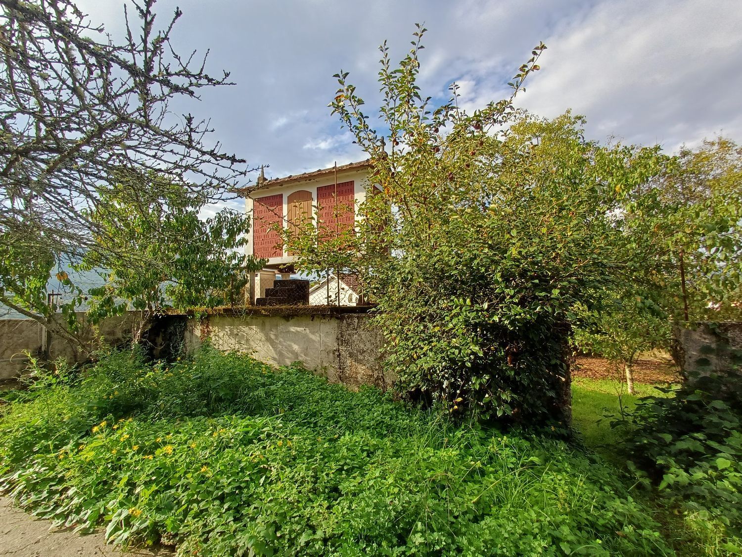 Casas o chalets-Venta-Mondariz-1888664-Foto-56