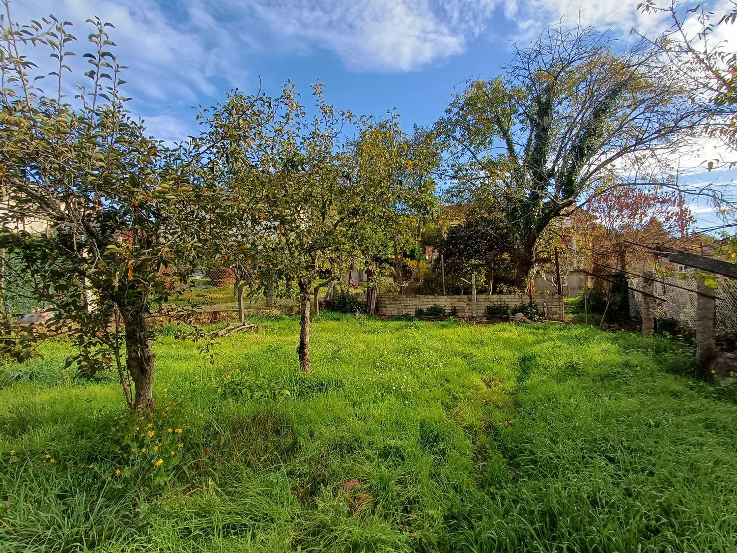 Casas o chalets-Venta-Mondariz-1888664-Foto-59