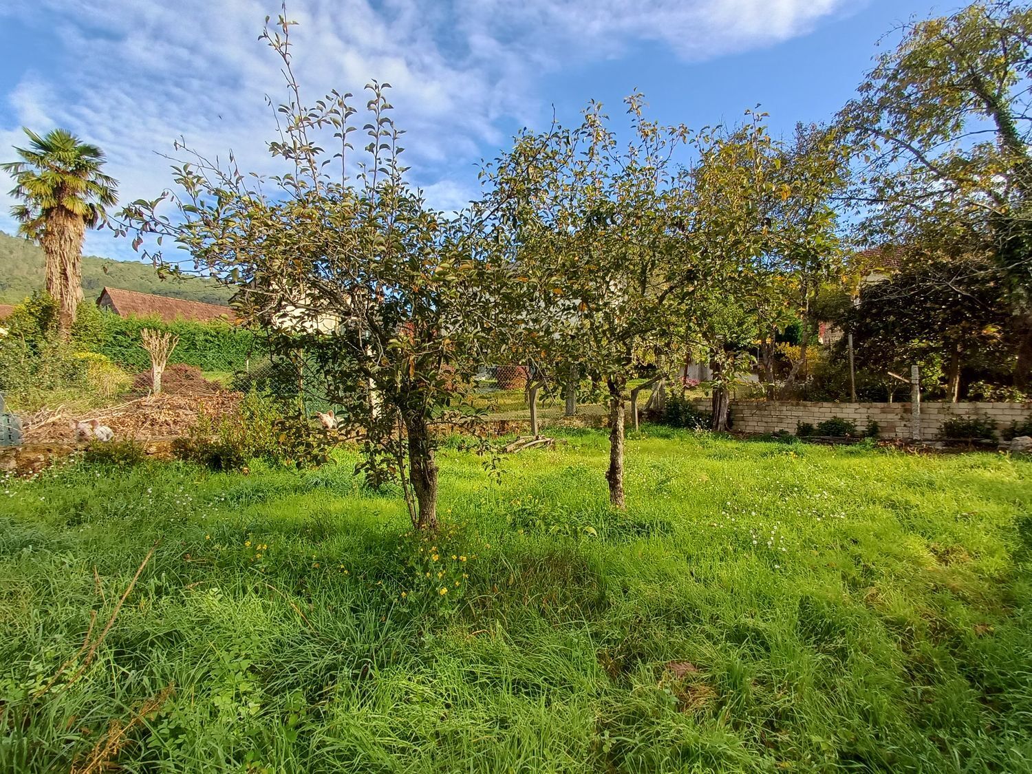 Casas o chalets-Venta-Mondariz-1888664-Foto-60