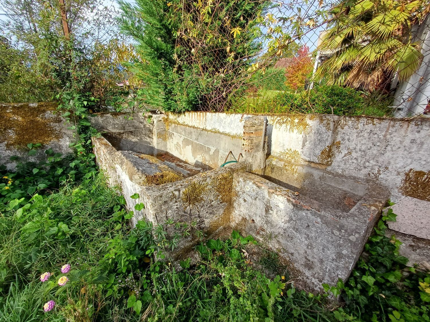 Casas o chalets-Venta-Mondariz-1888664-Foto-64