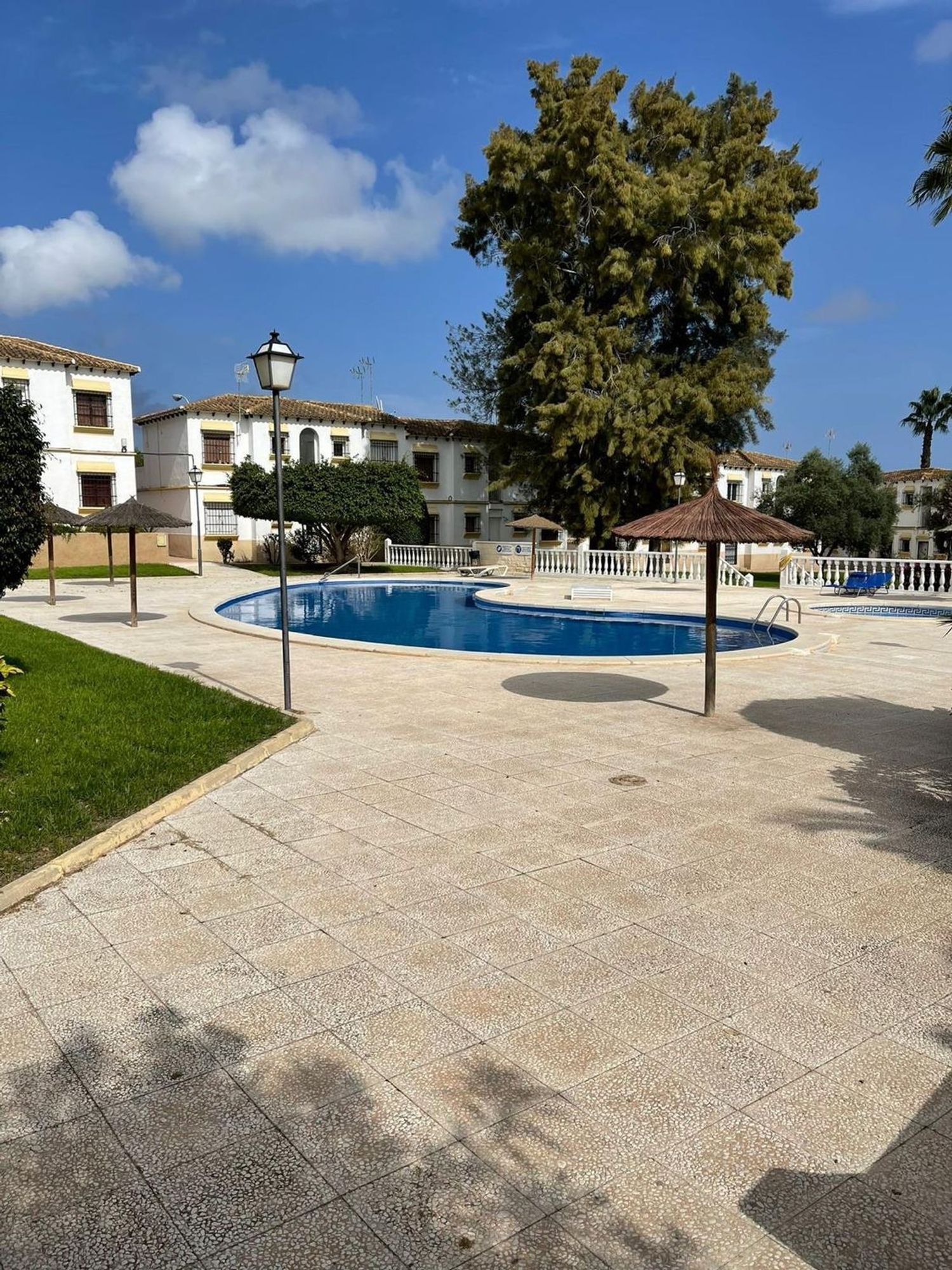 Pisos-Venta-San Miguel de Salinas-1639732-Foto-3