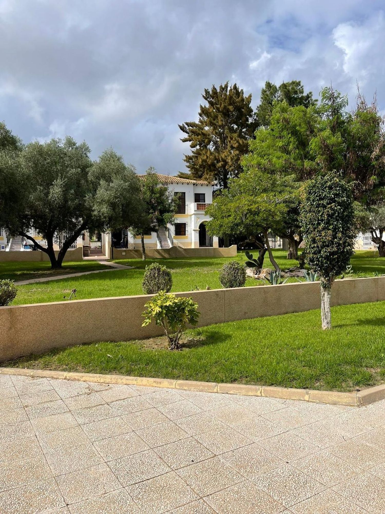 Pisos-Venta-San Miguel de Salinas-1639732-Foto-5