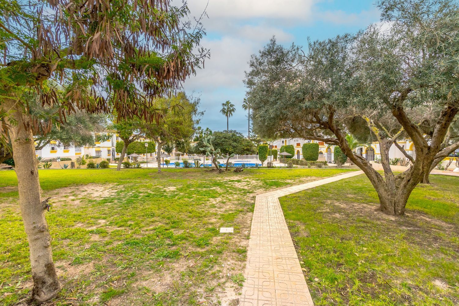 Pisos-Venta-San Miguel de Salinas-1639732-Foto-6