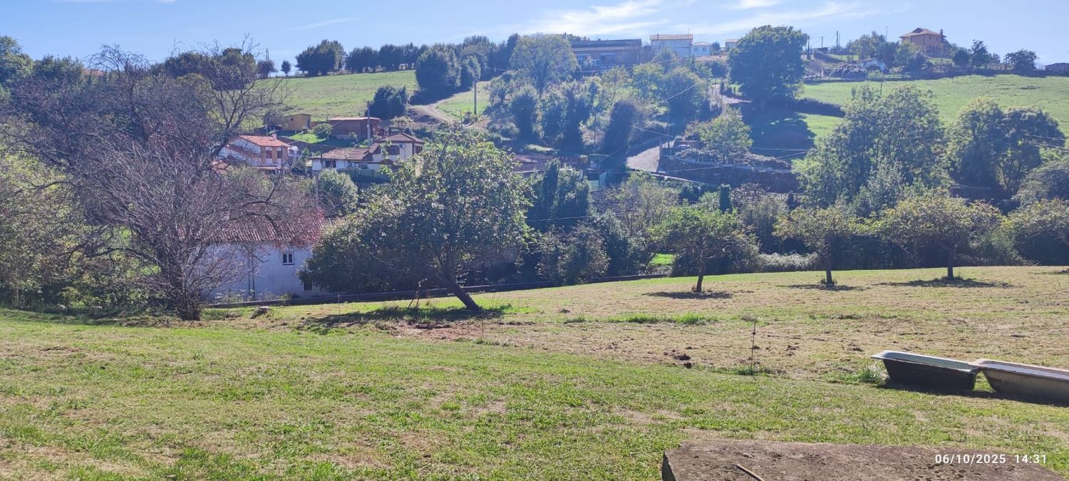 Fincas y solares-Venta-GijÃ³n-1886828-Foto-3