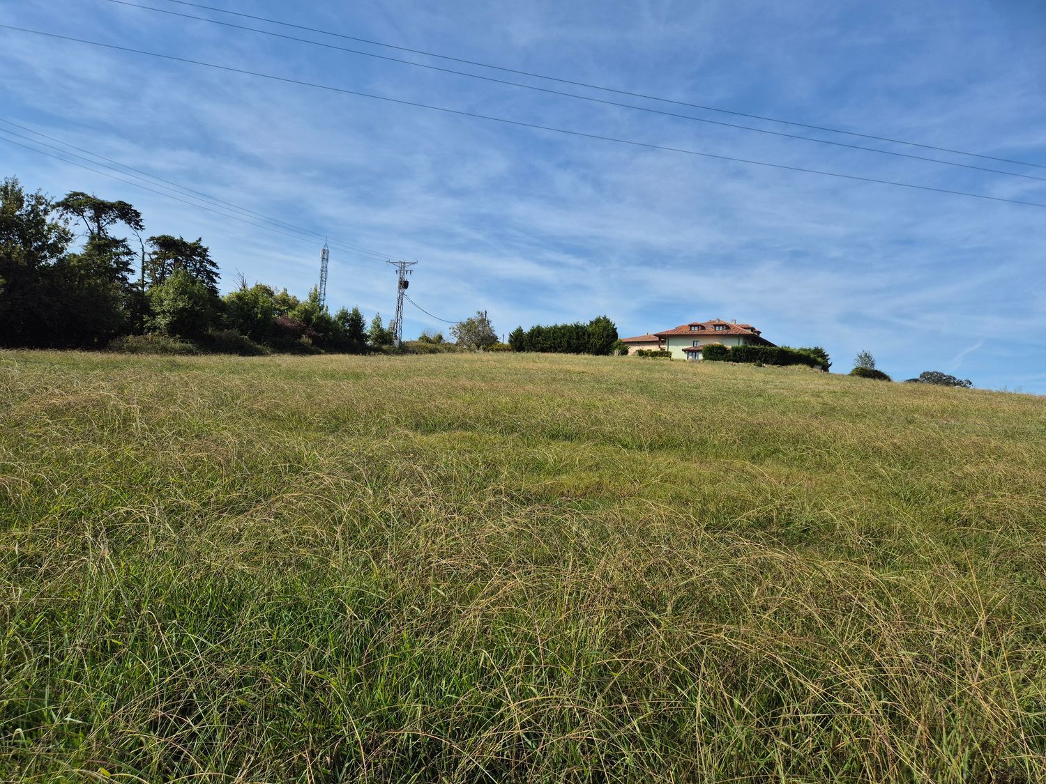Fincas y solares-Venta-Colunga-1887714-Foto-12