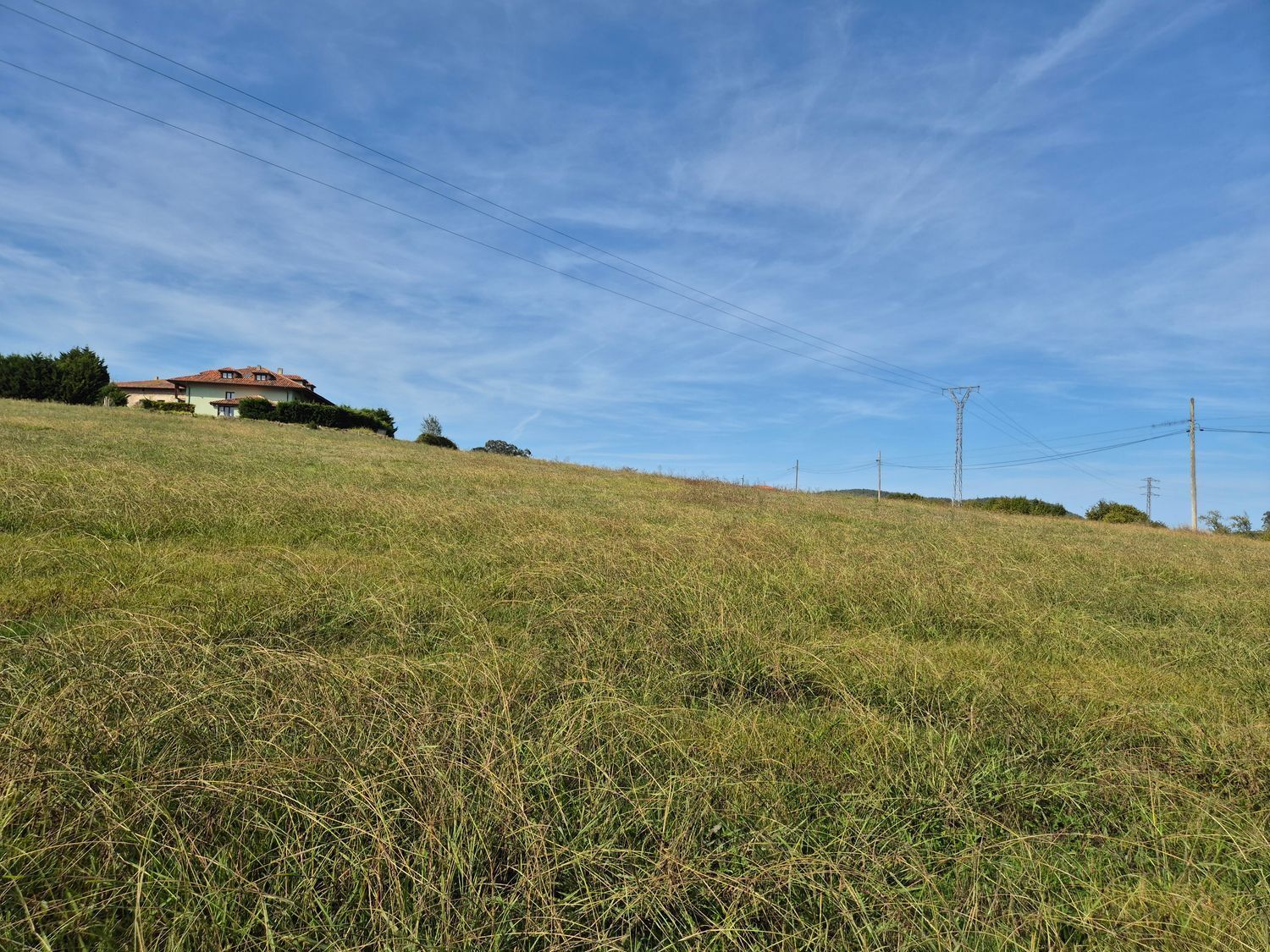 Fincas y solares-Venta-Colunga-1887714-Foto-13