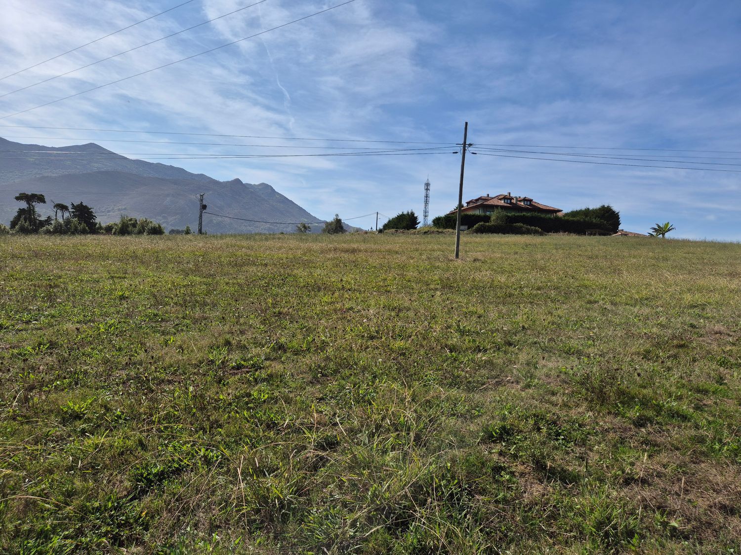 Fincas y solares-Venta-Colunga-1887714-Foto-19