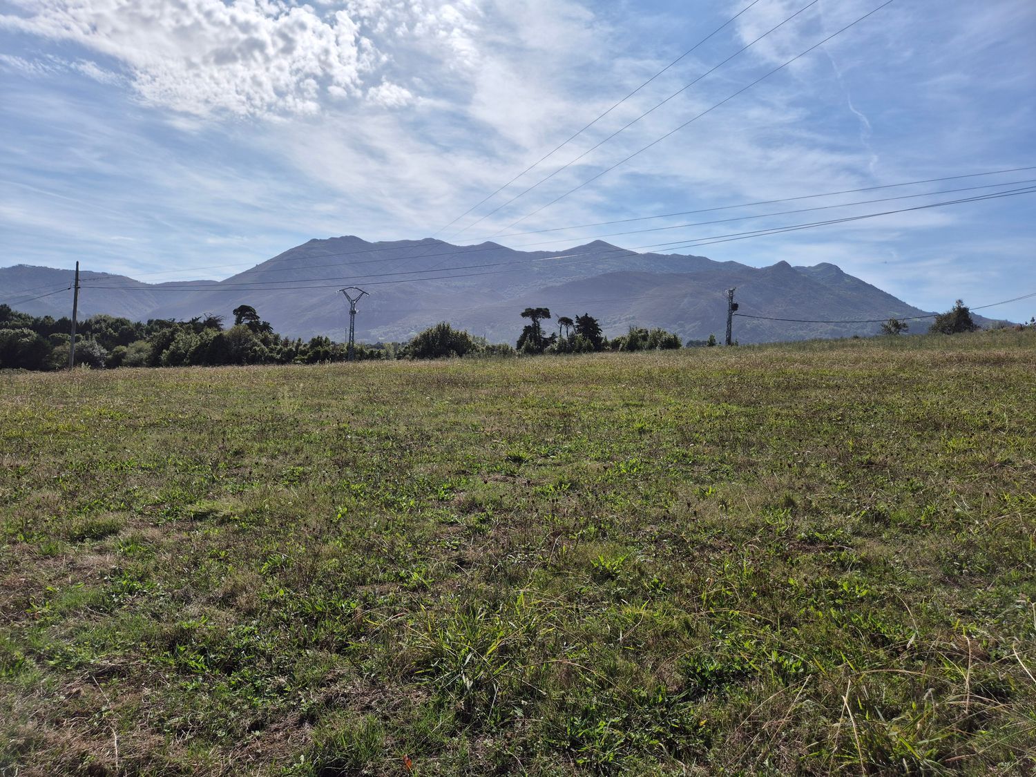 Fincas y solares-Venta-Colunga-1887714-Foto-20