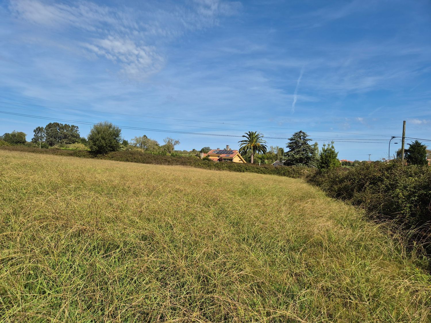 Fincas y solares-Venta-Colunga-1887714-Foto-15