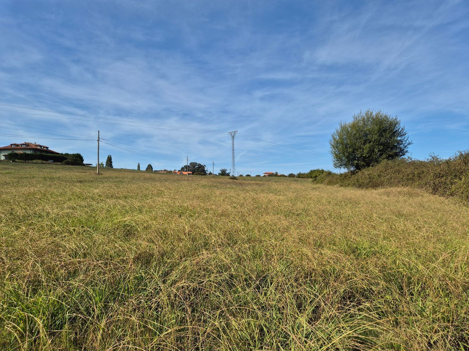 Fincas y solares-Venta-Colunga-1887714-Foto-16
