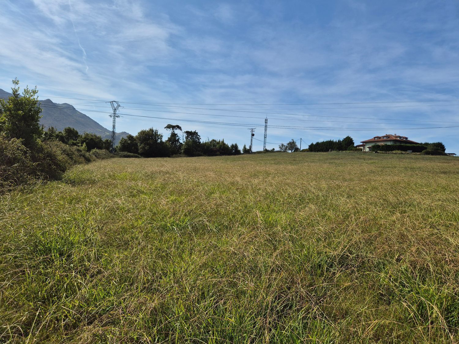 Fincas y solares-Venta-Colunga-1887714-Foto-18