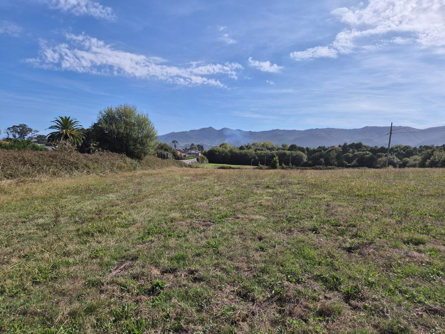 Fincas y solares-Venta-Colunga-1887714-Foto-21