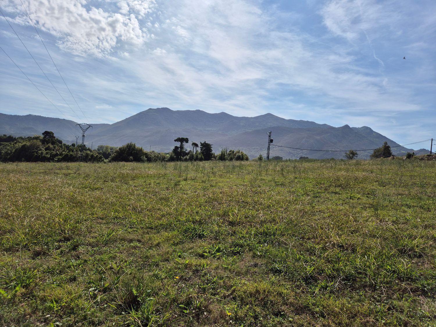 Fincas y solares-Venta-Colunga-1887714-Foto-25