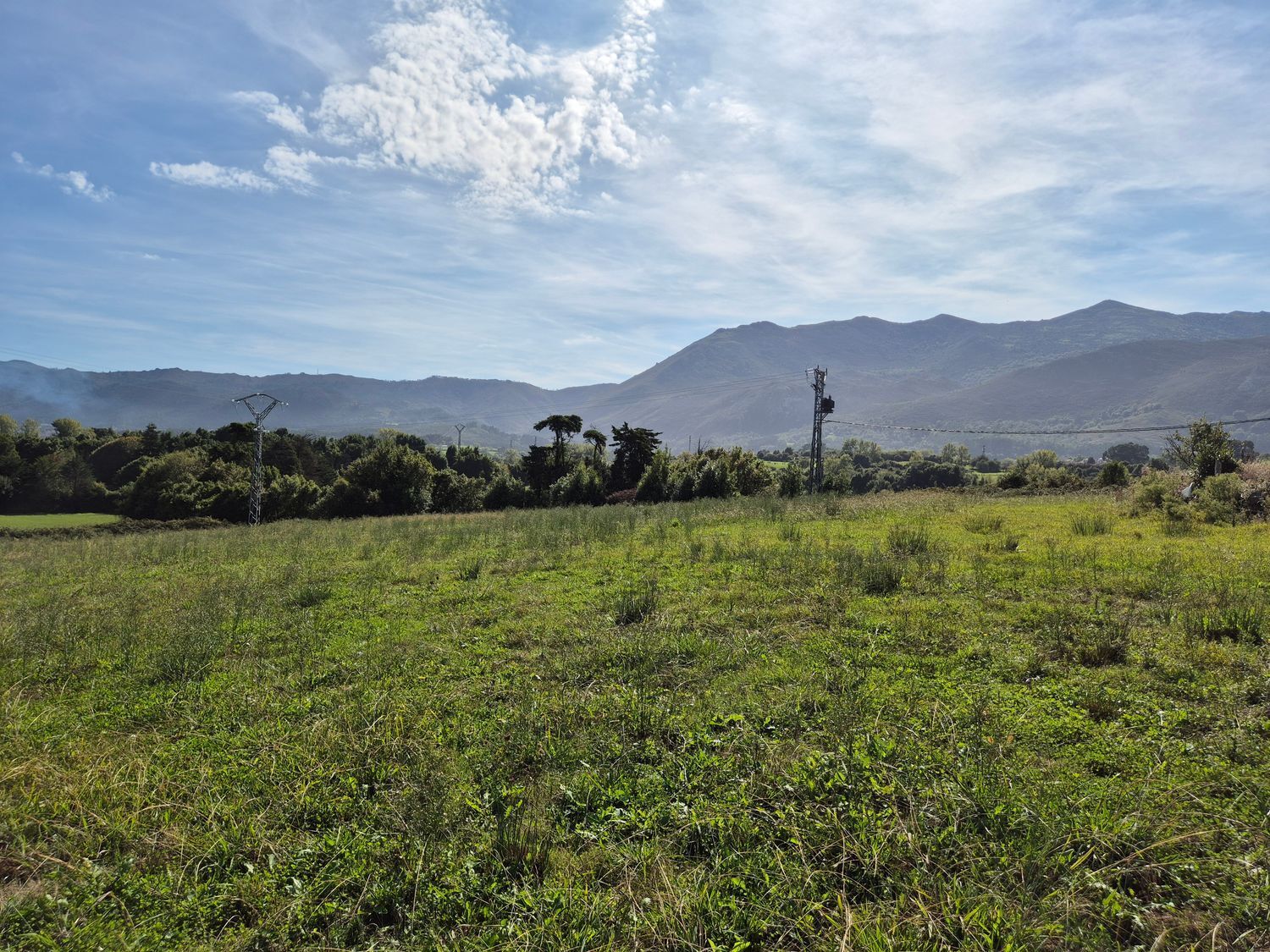 Fincas y solares-Venta-Colunga-1887714-Foto-28
