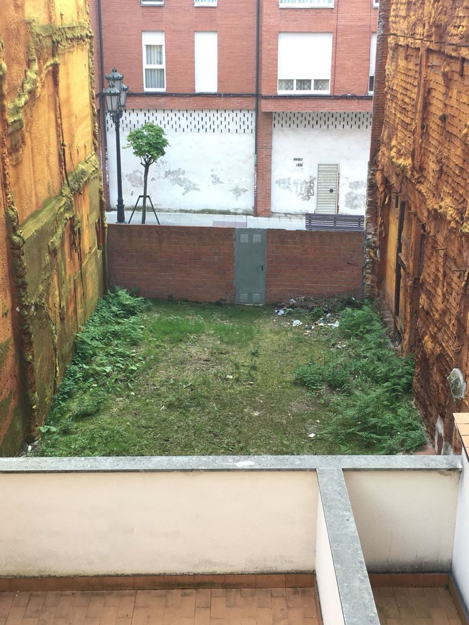 Fincas y solares-Venta-Oviedo-663491-Foto-7