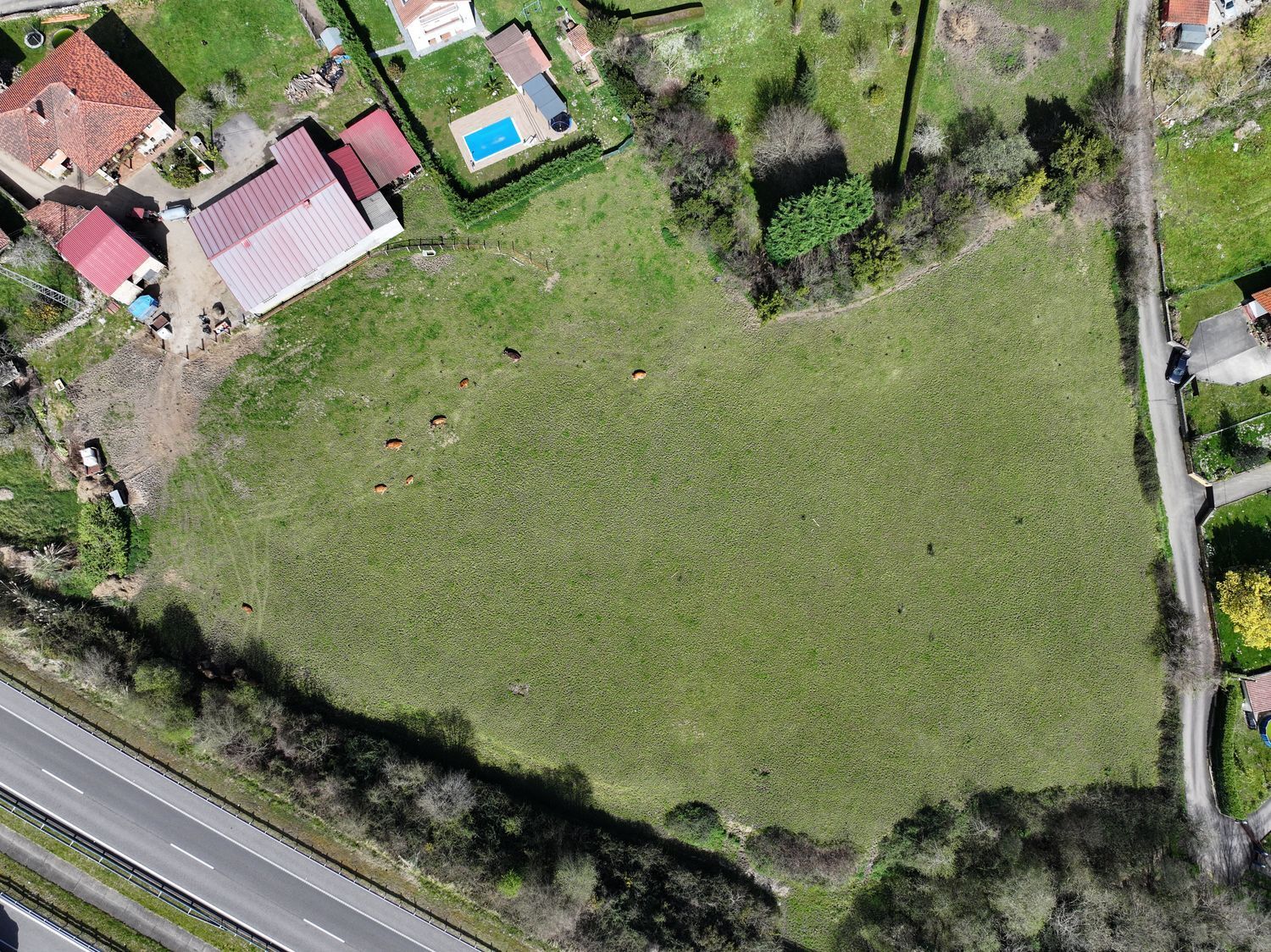 Plot in Ribadesella