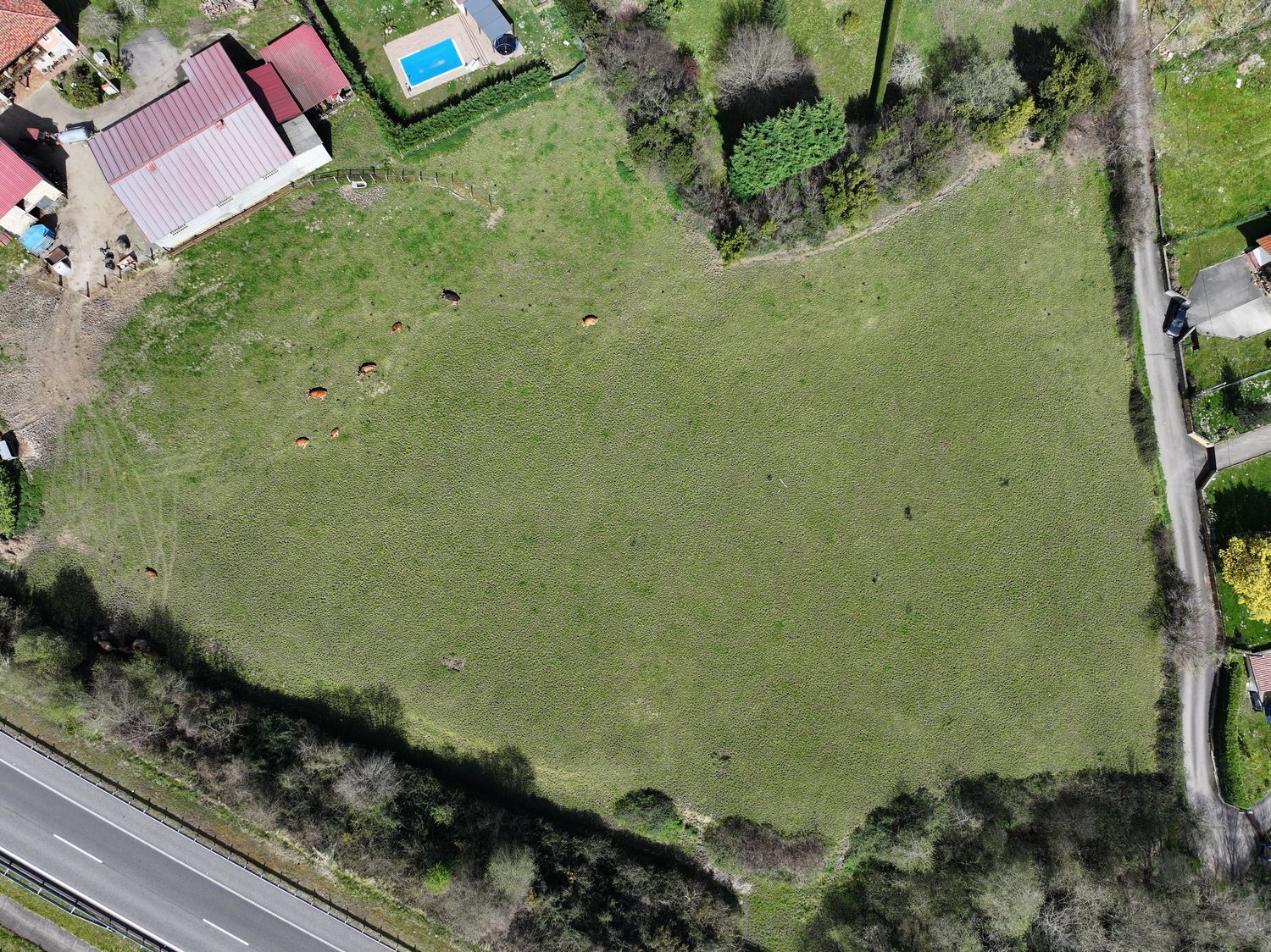 Plot in Ribadesella