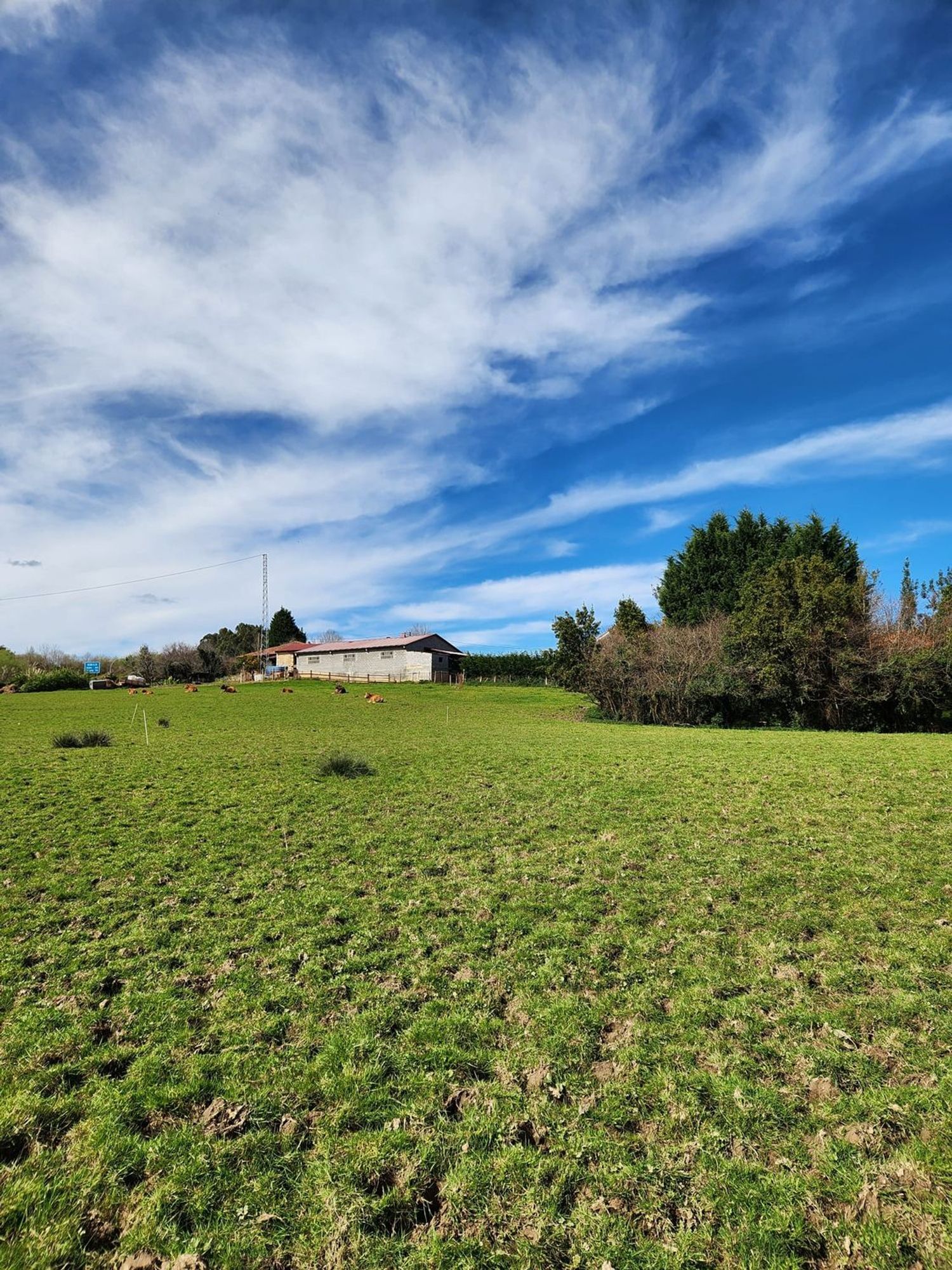 Plot in Ribadesella