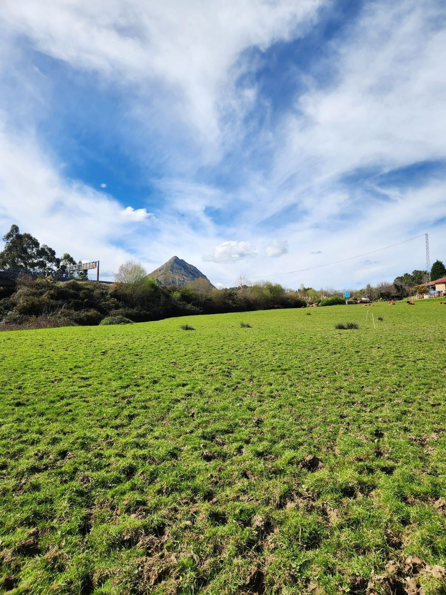 Plot in Ribadesella
